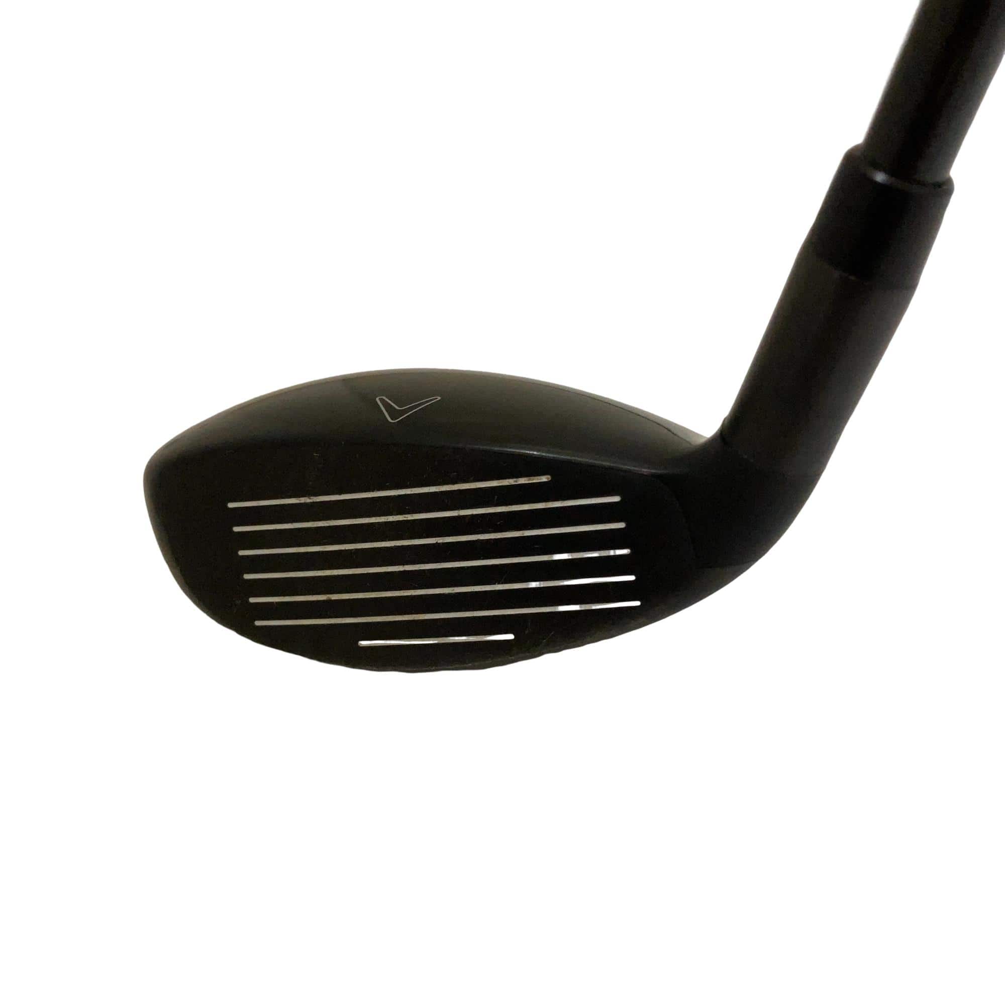 �w�Q�@�g�n�s�@�t�S