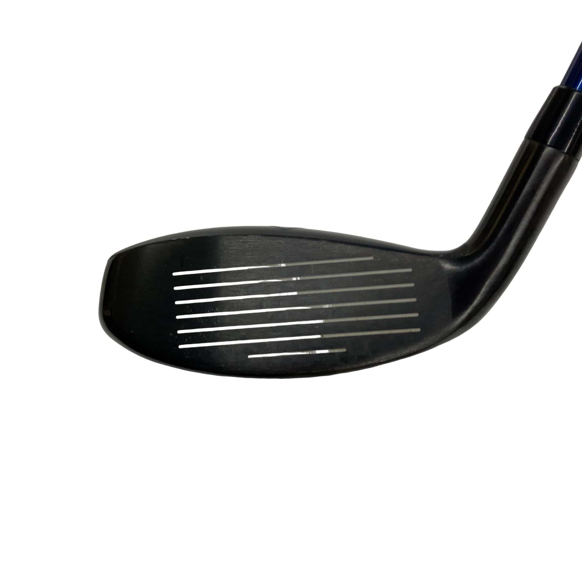 �w�q�@�t�S