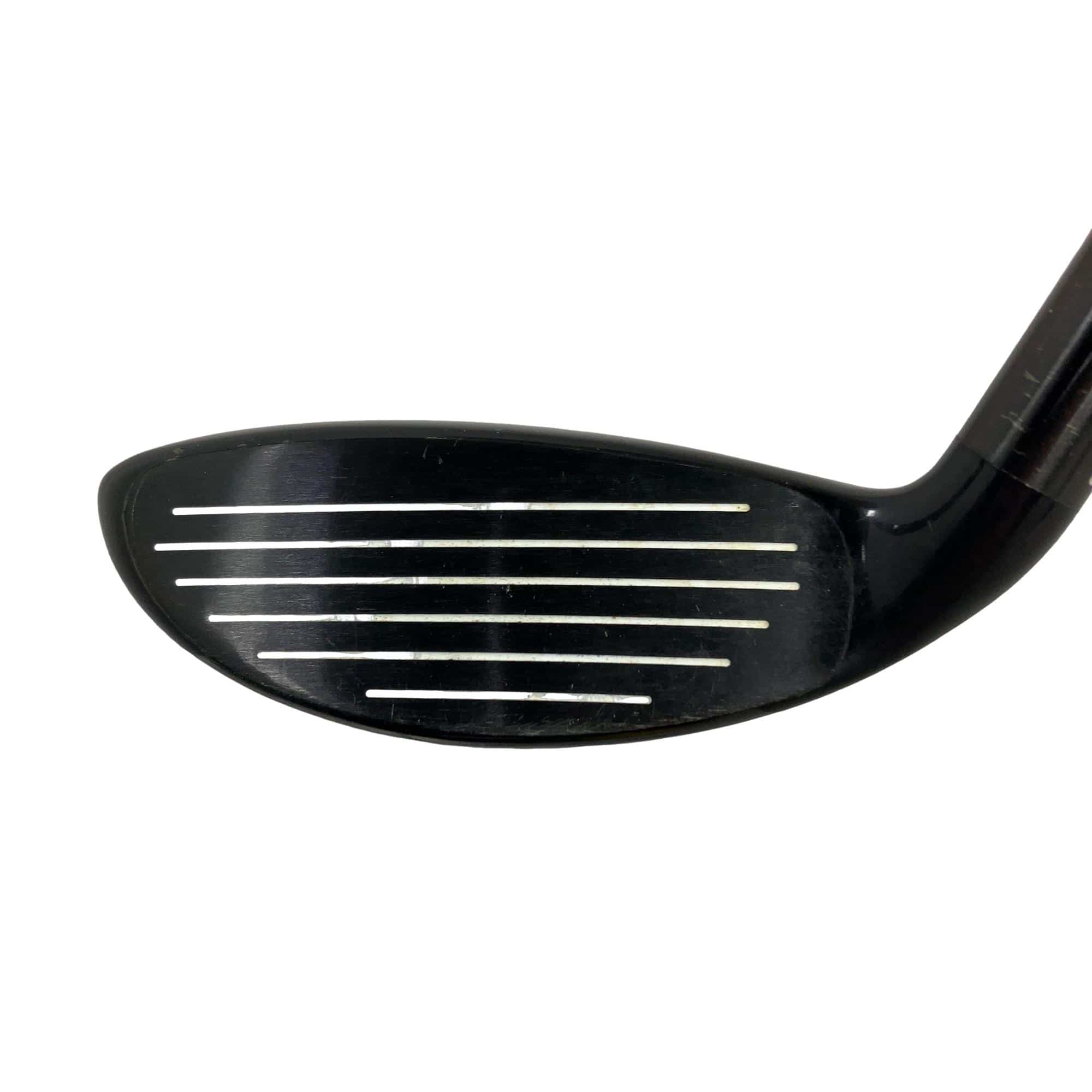 �w�@�g�n�s�@�t�S