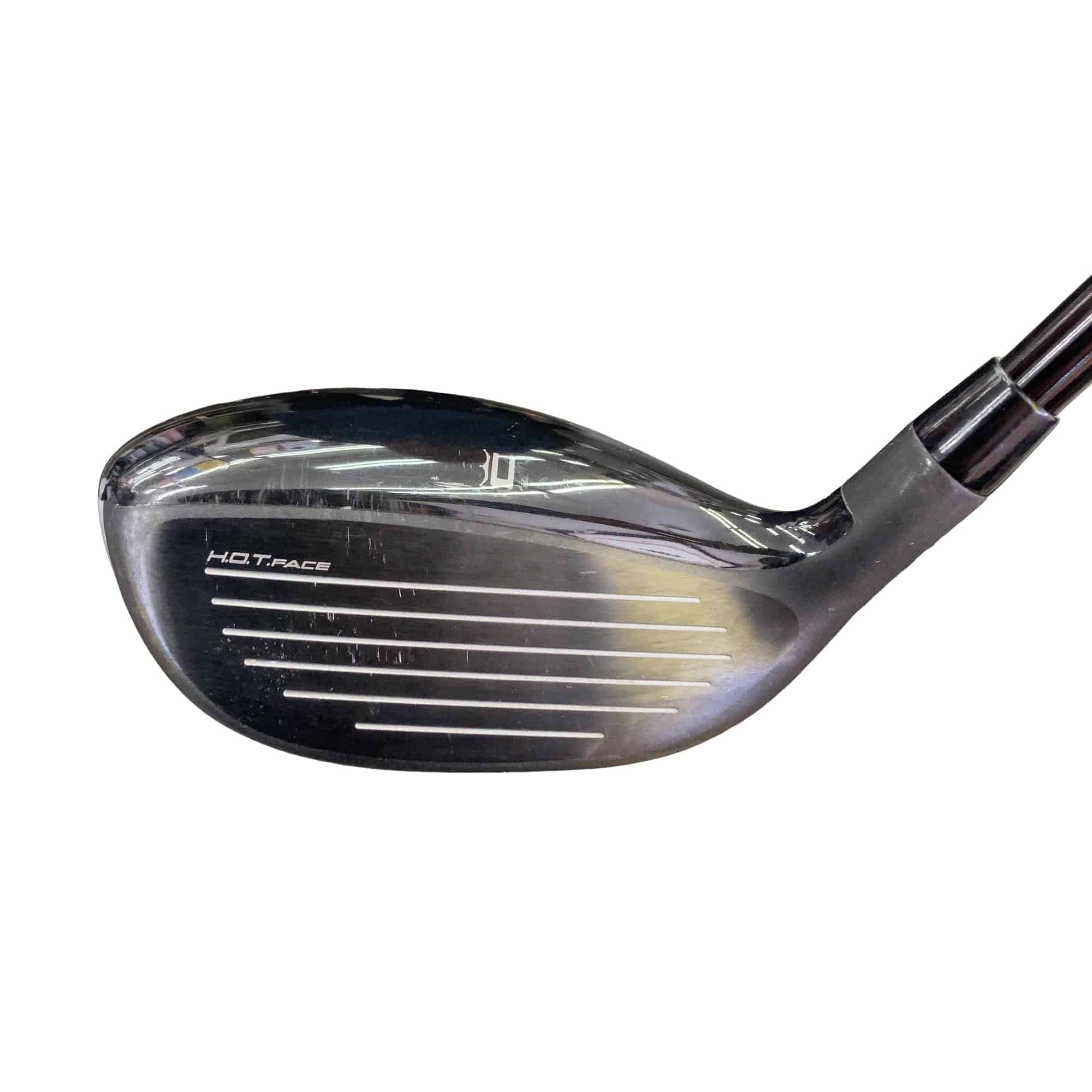 �����������@�`�d�q�n�i�d�s�@�t�V�@���f�B�[�X