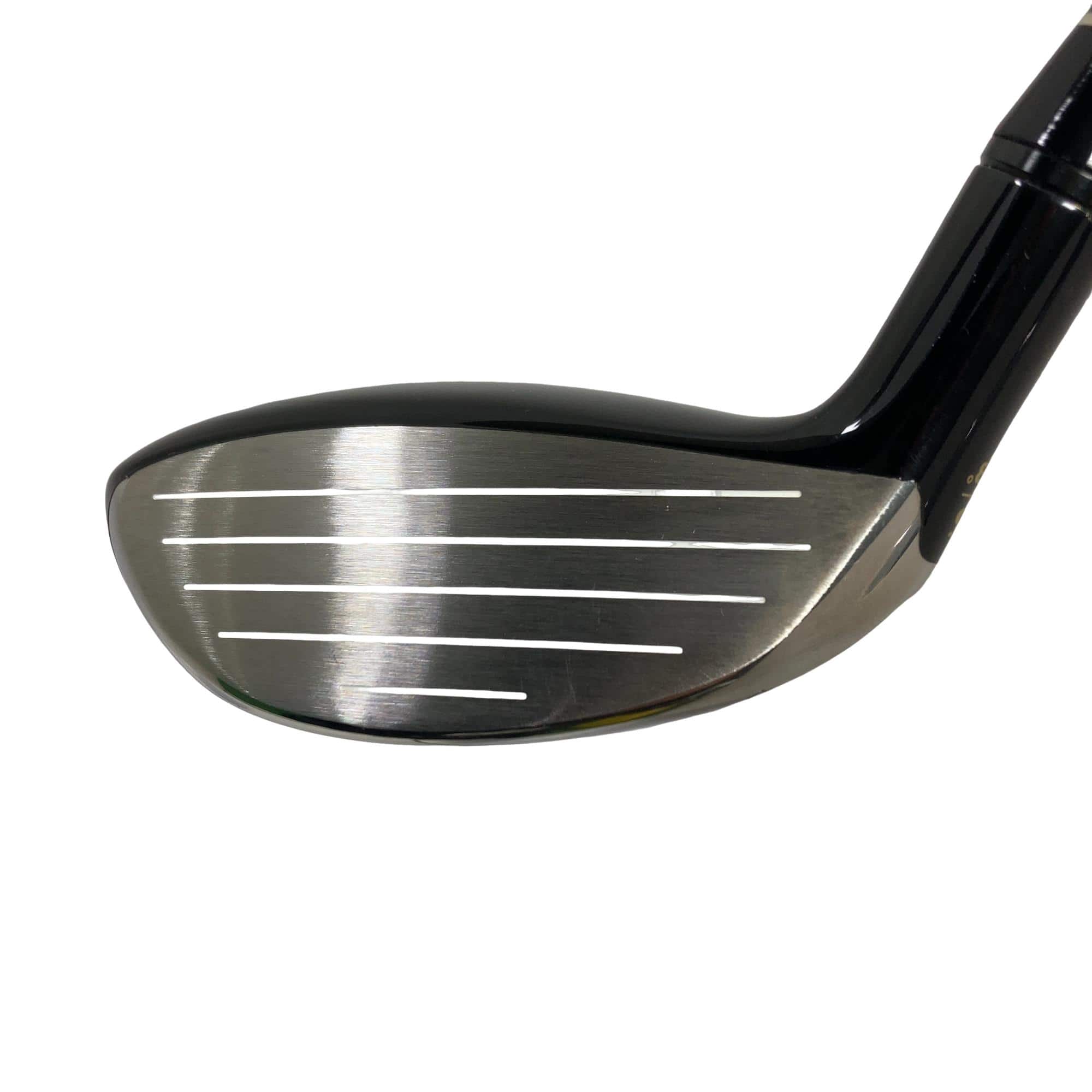 �s�n�t�q�@�v�n�q�k�c�@�s�q�Q�P�@�T�v