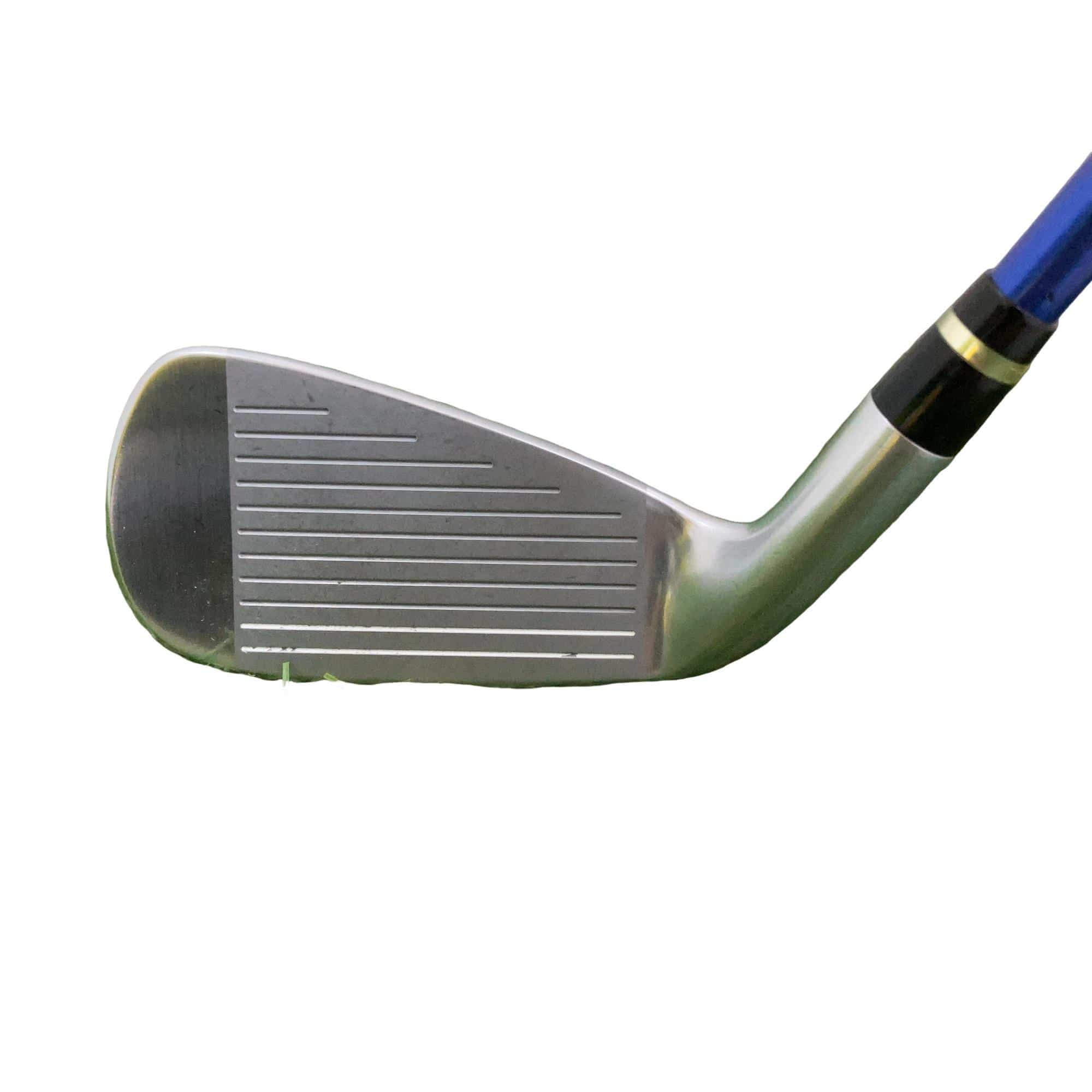 �������������@�t�c�{�Q�@�S�r�i���{���F�S�{�Z�b�g�j