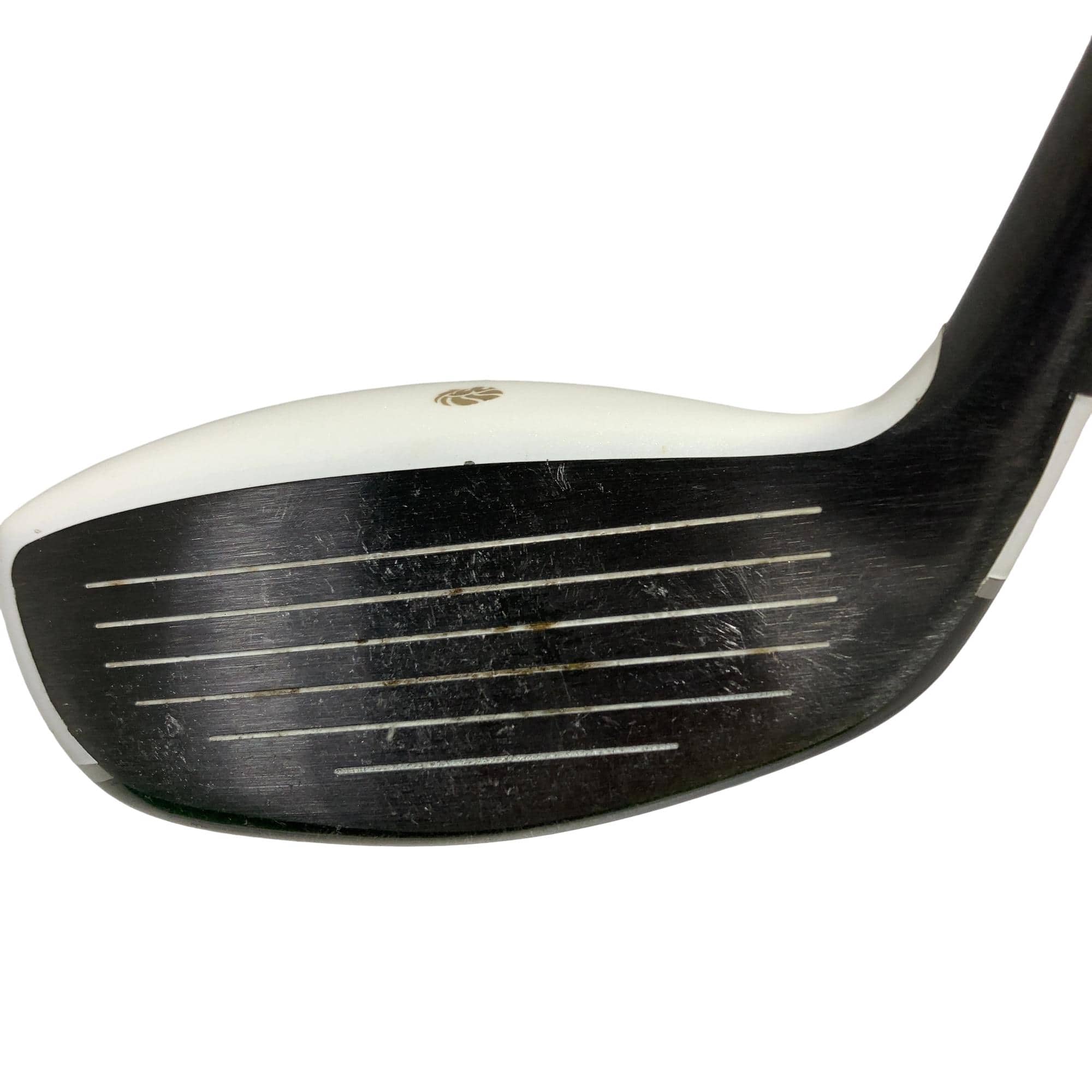 �f�k�n�h�q�d�@�e�@�t�S