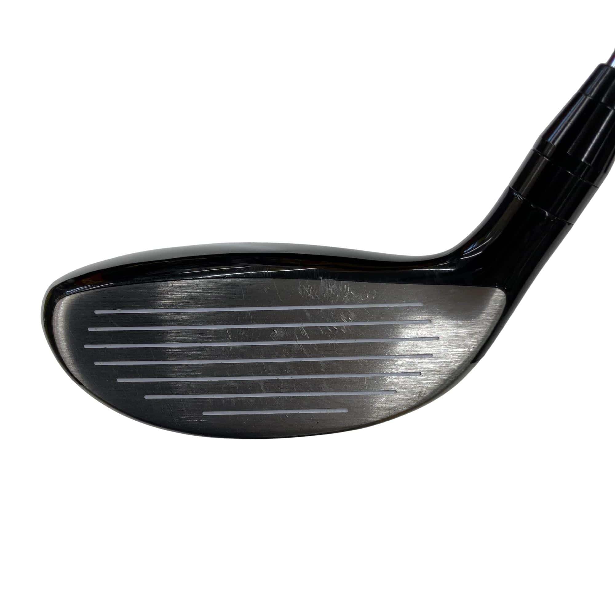 �������������@�q�l�w�@�t�S�{