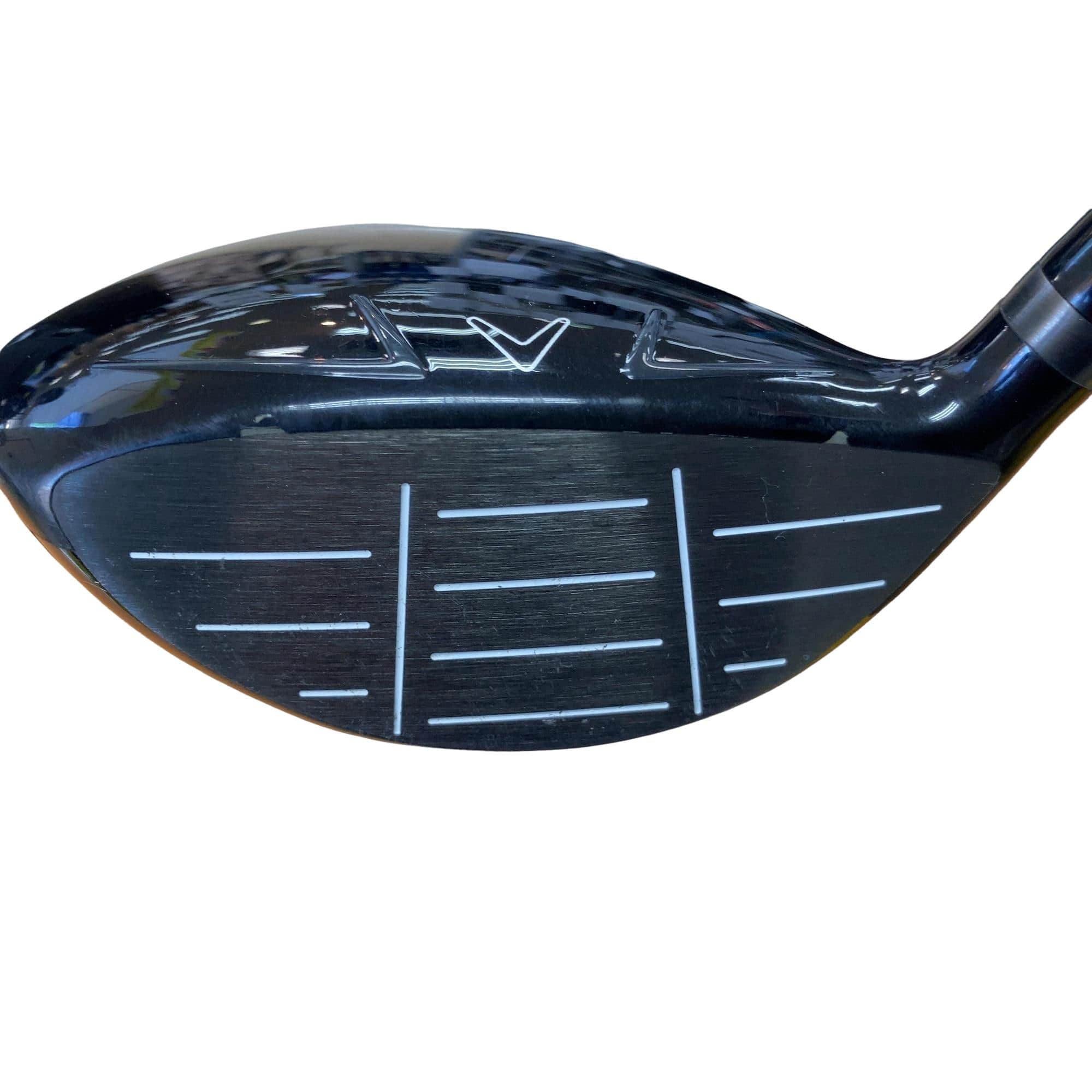 �w�q�@�@�T�v�@���f�B�[�X