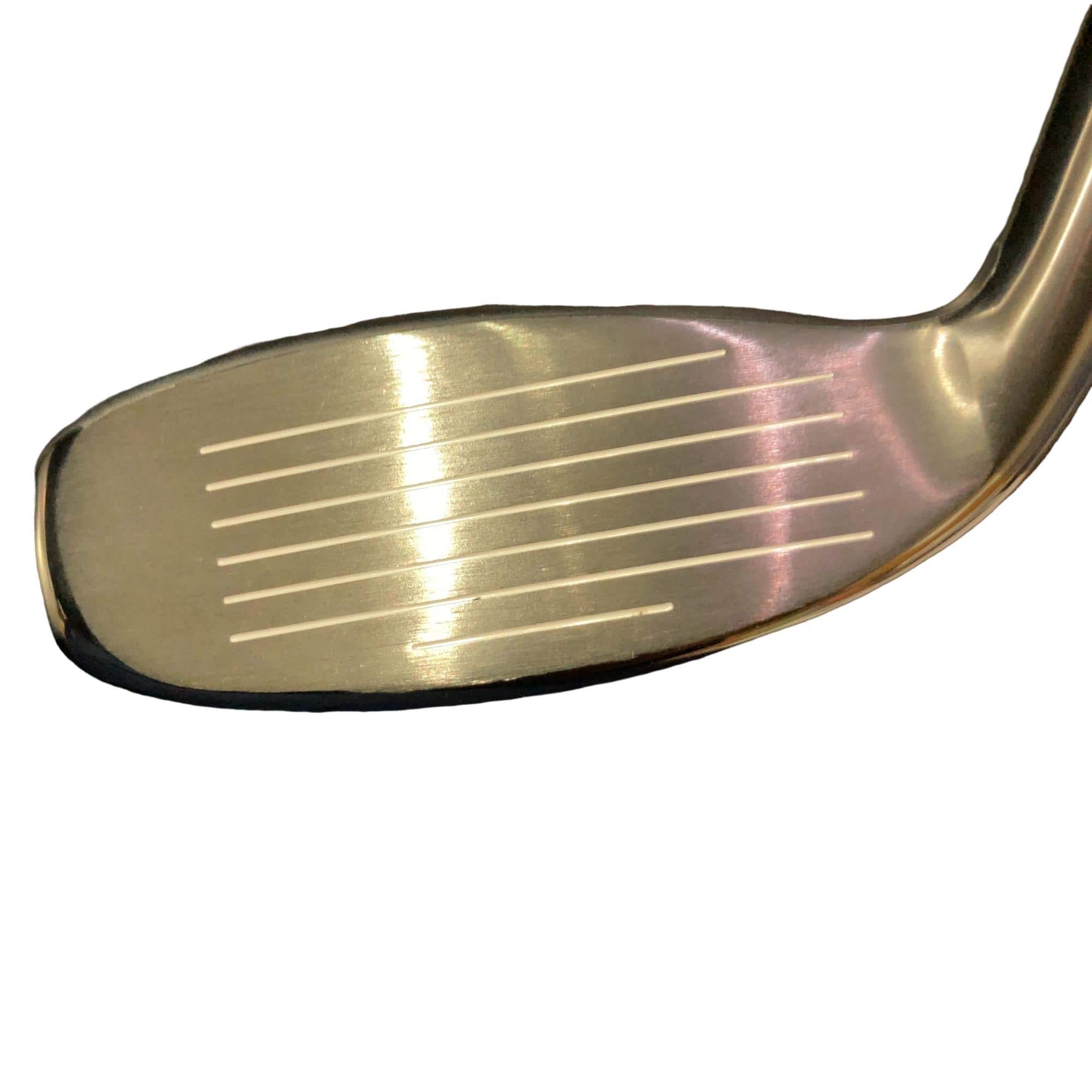 �w�q�@�P�U�@�n�r�@�t�R