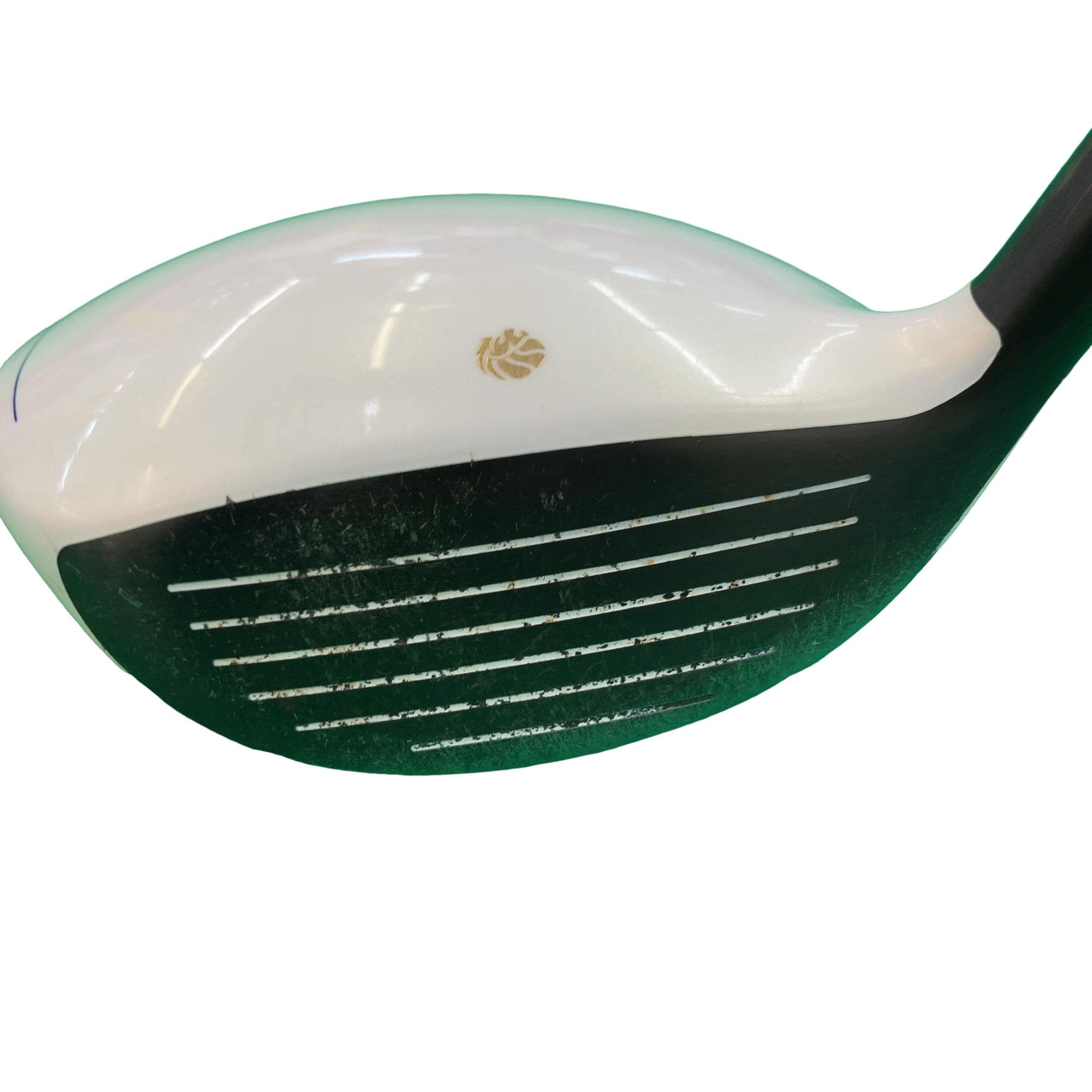 �f�k�n�h�q�d�@�e�i�Q�O�P�U�j�@�T�v