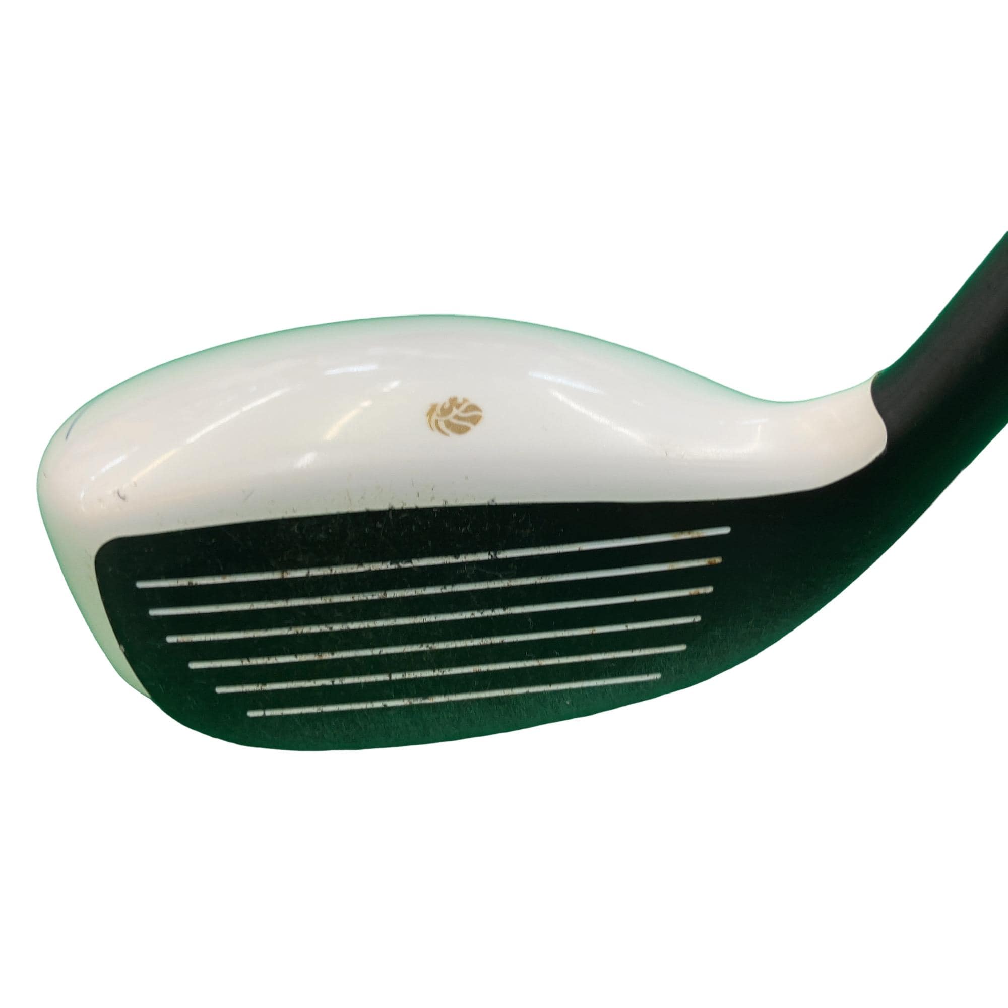 �f�k�n�h�q�d�@�e�i�Q�O�P�U�j�@�t�S