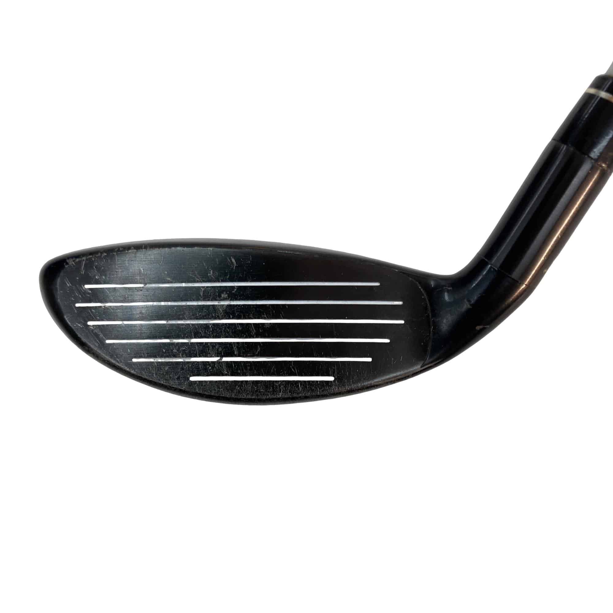 �w�@�g�n�s�@�t�S