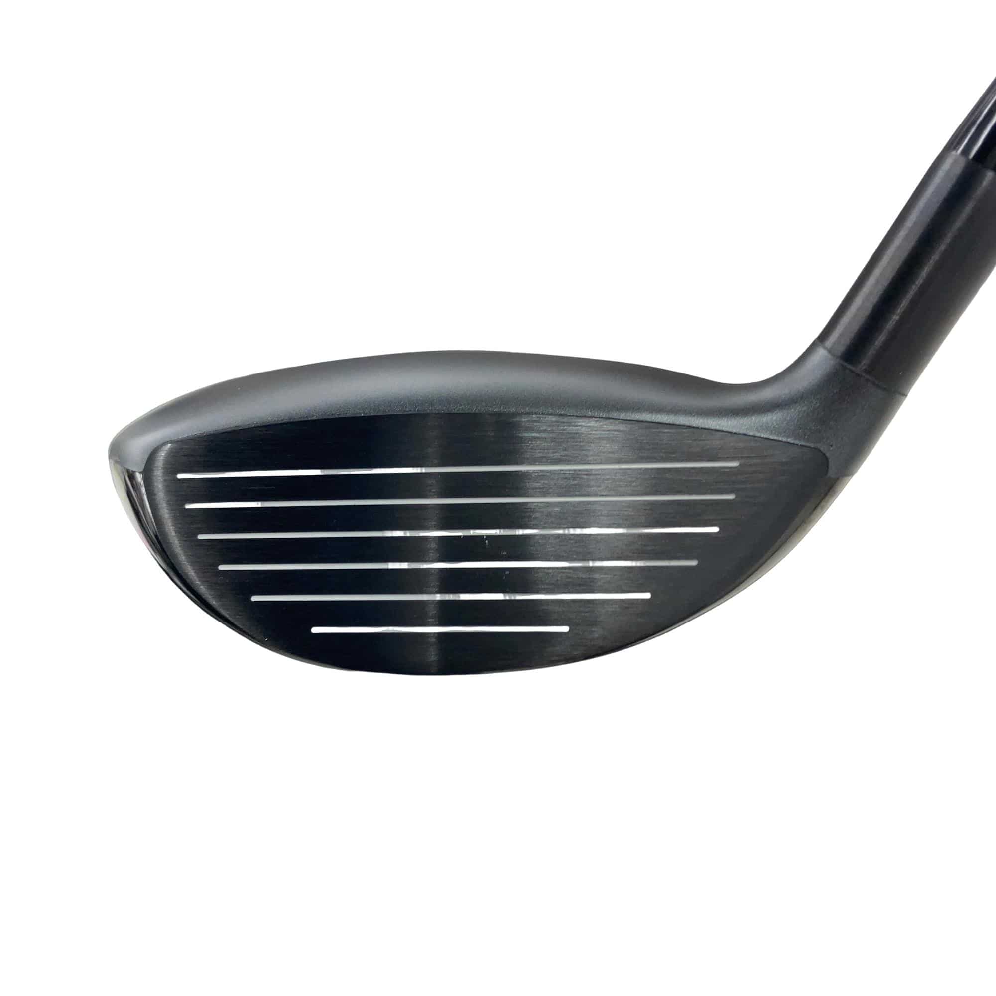 �p�t�`�m�s�t�l�@�������@�V�v