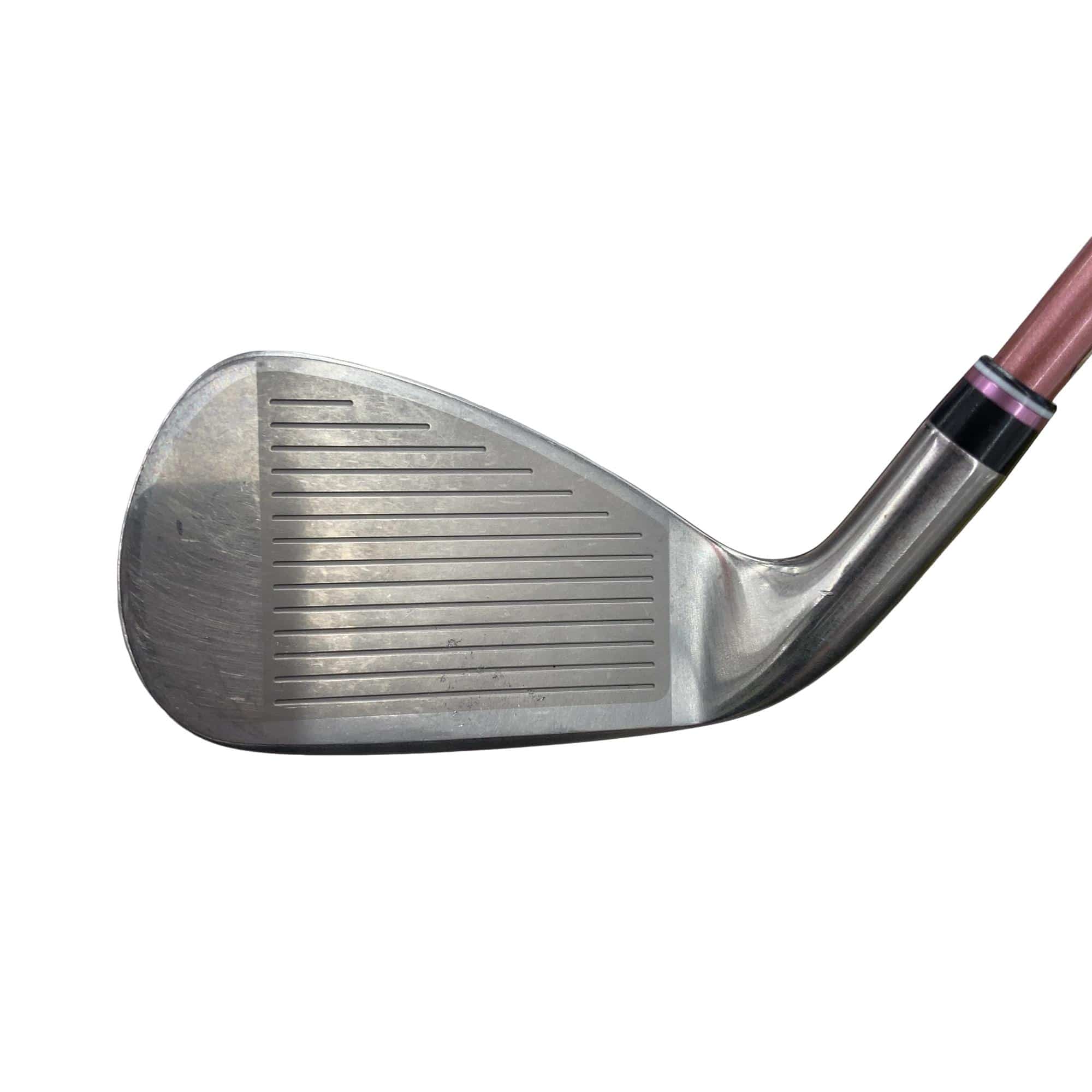 �w�w�h�n�i�Q�O�Q�S�j�@�U�r�i�{���h�[�j�@���f�B�[�X�i���{���F�U�{�Z�b�g�j