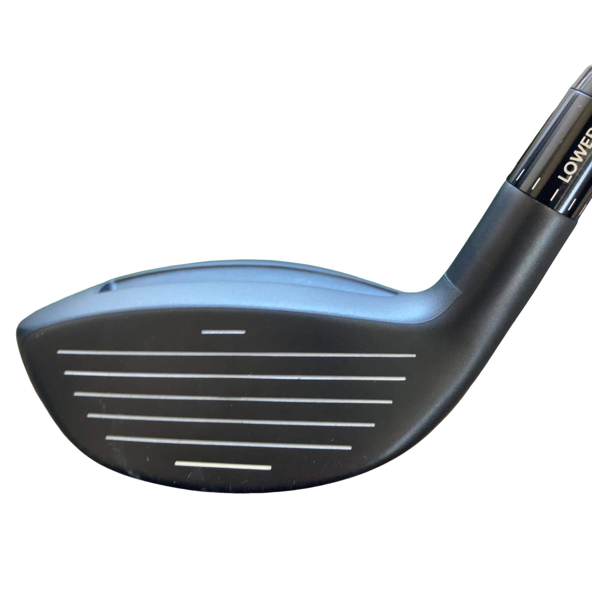 �`���������@�w�s�c�@�����@�P�W°