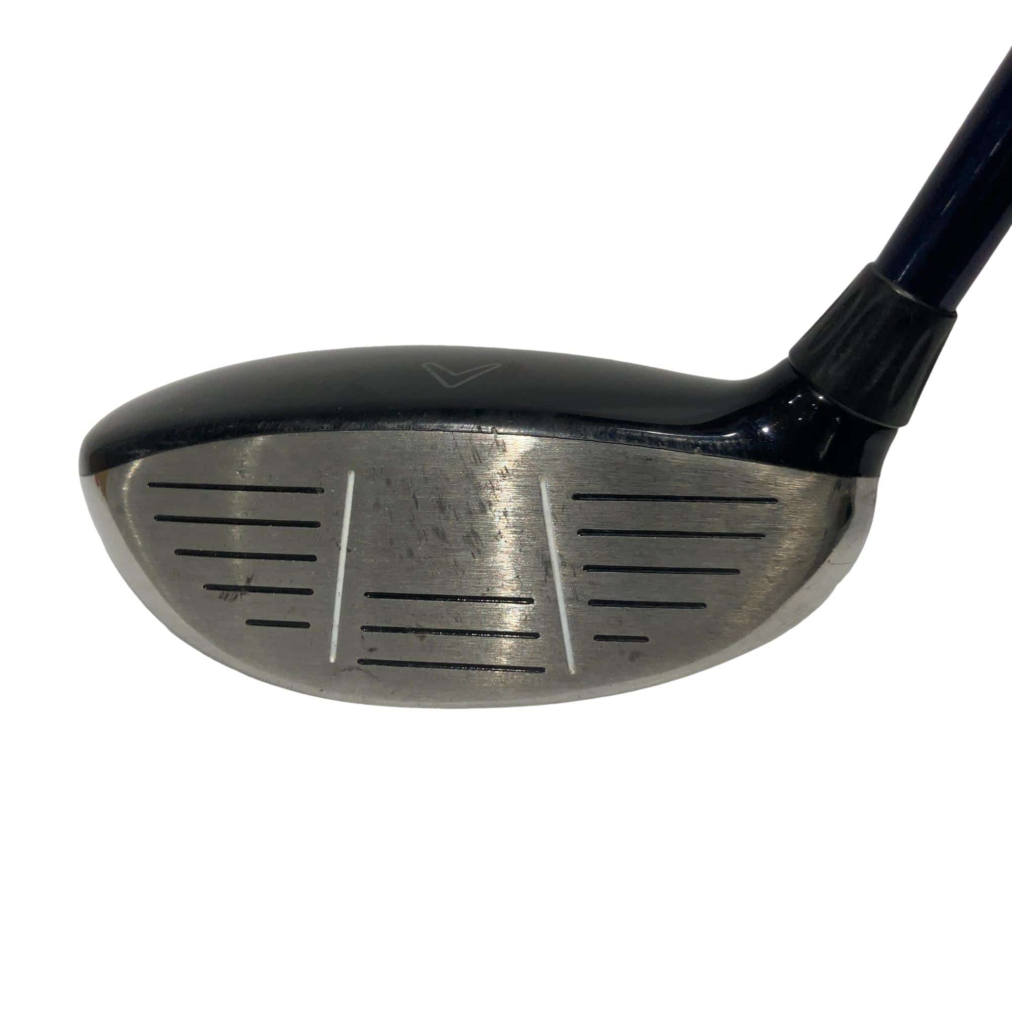 �w�@�c�q�r�@���[�e�B���e�B�@�R�g�i�Q�P°�j