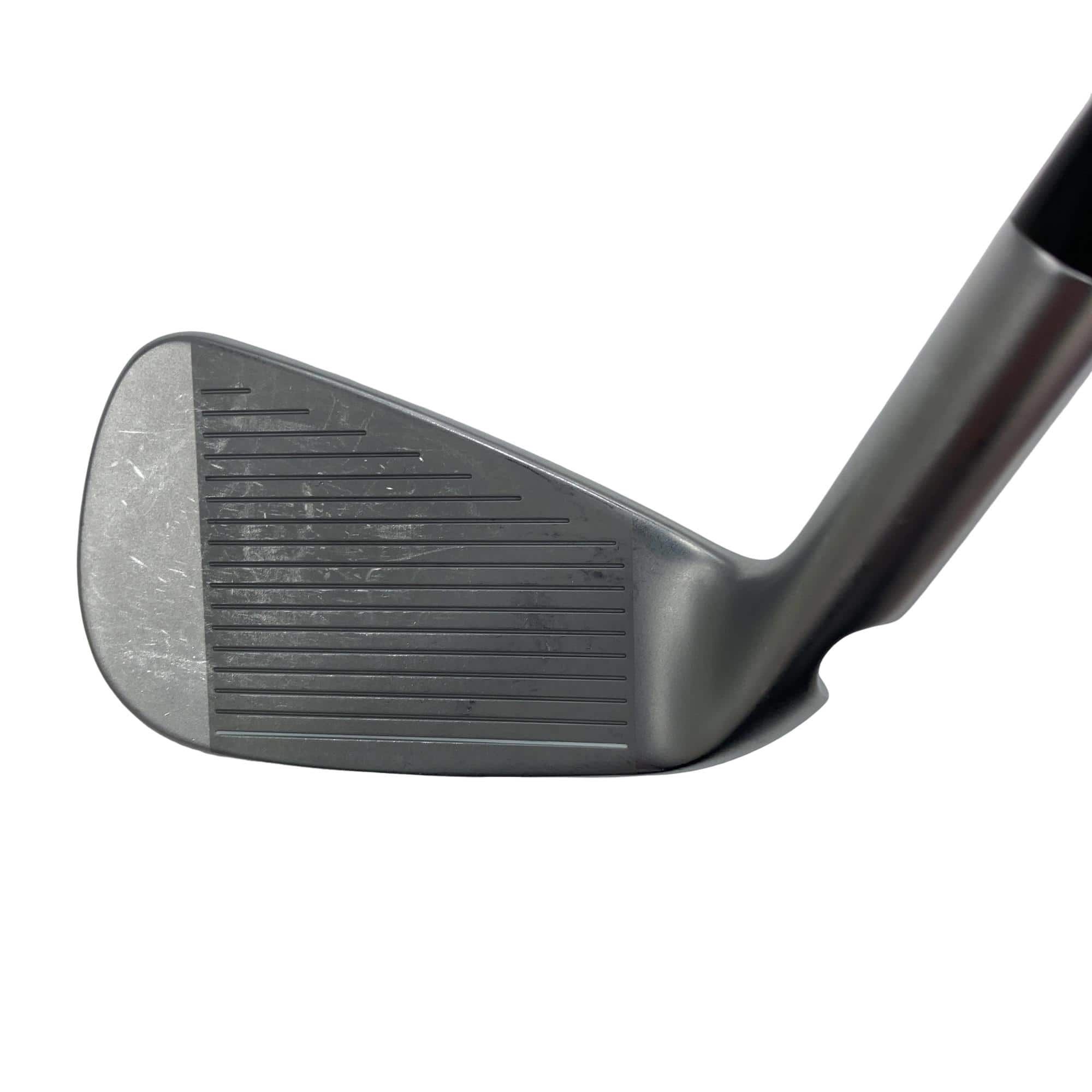 ���T�R�O�@�T�r�i���{���F�T�{�Z�b�g�j