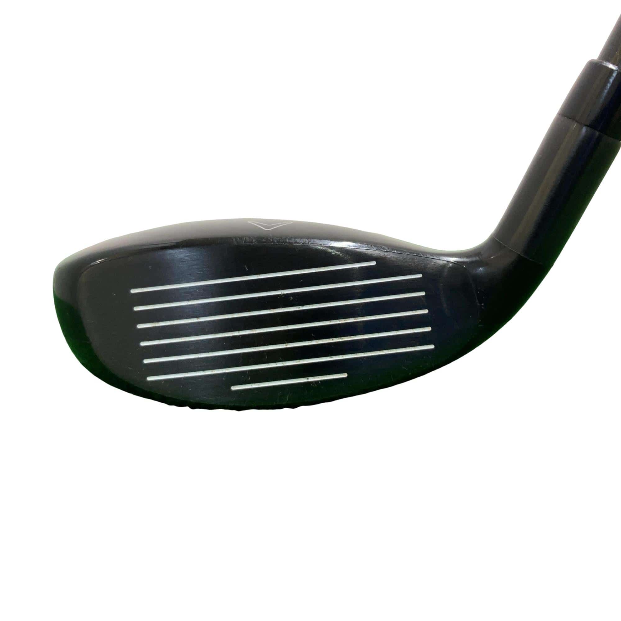 �w�Q�@�g�n�s�@�t�R