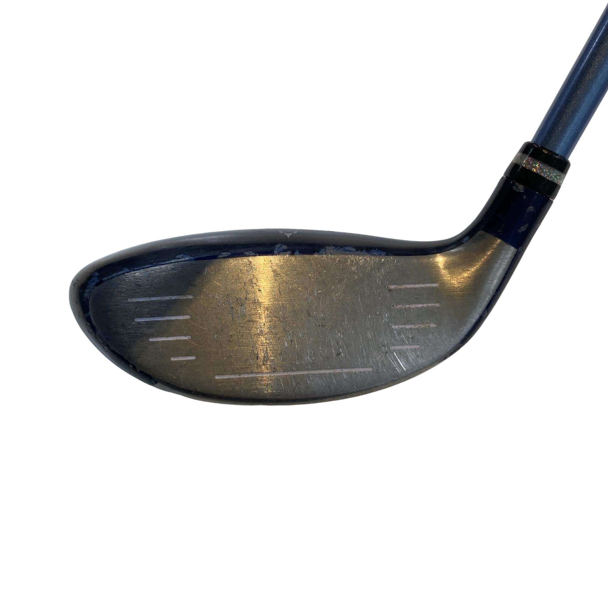 �������������@�t�c�{�Q�@�t�S�@���f�B�[�X