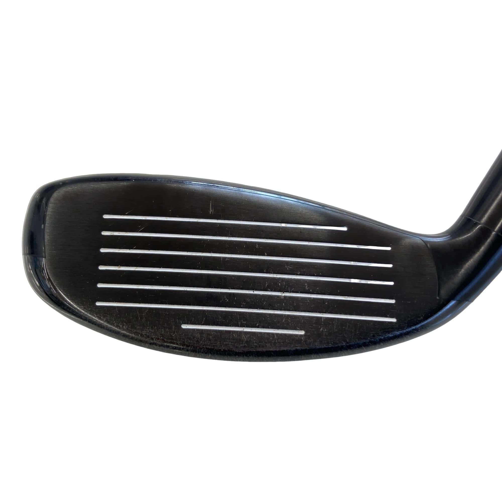 �w�Q�@�g�n�s�@�t�T