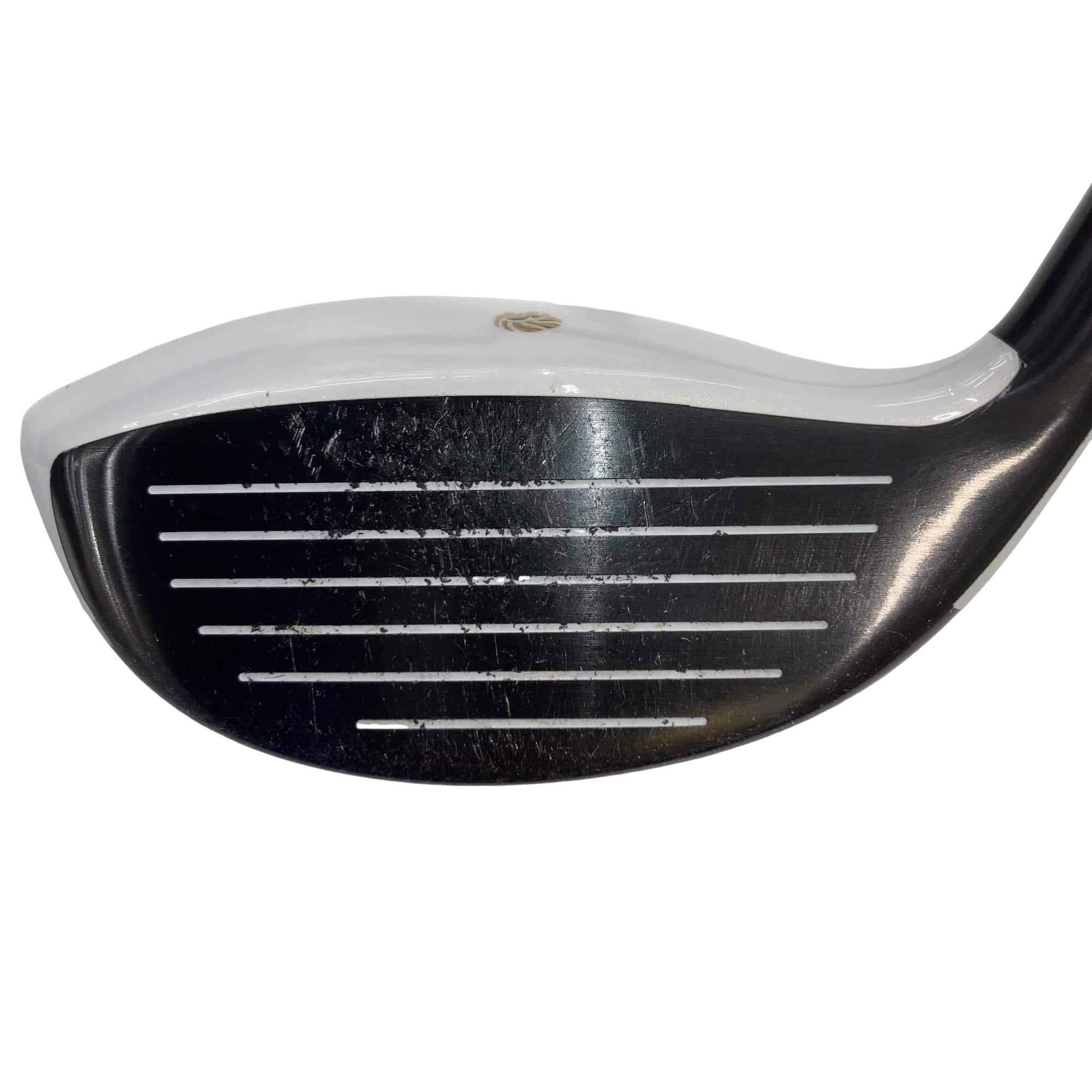 �f�k�n�h�q�d�@�e�i�Q�O�P�U�j�@�T�v