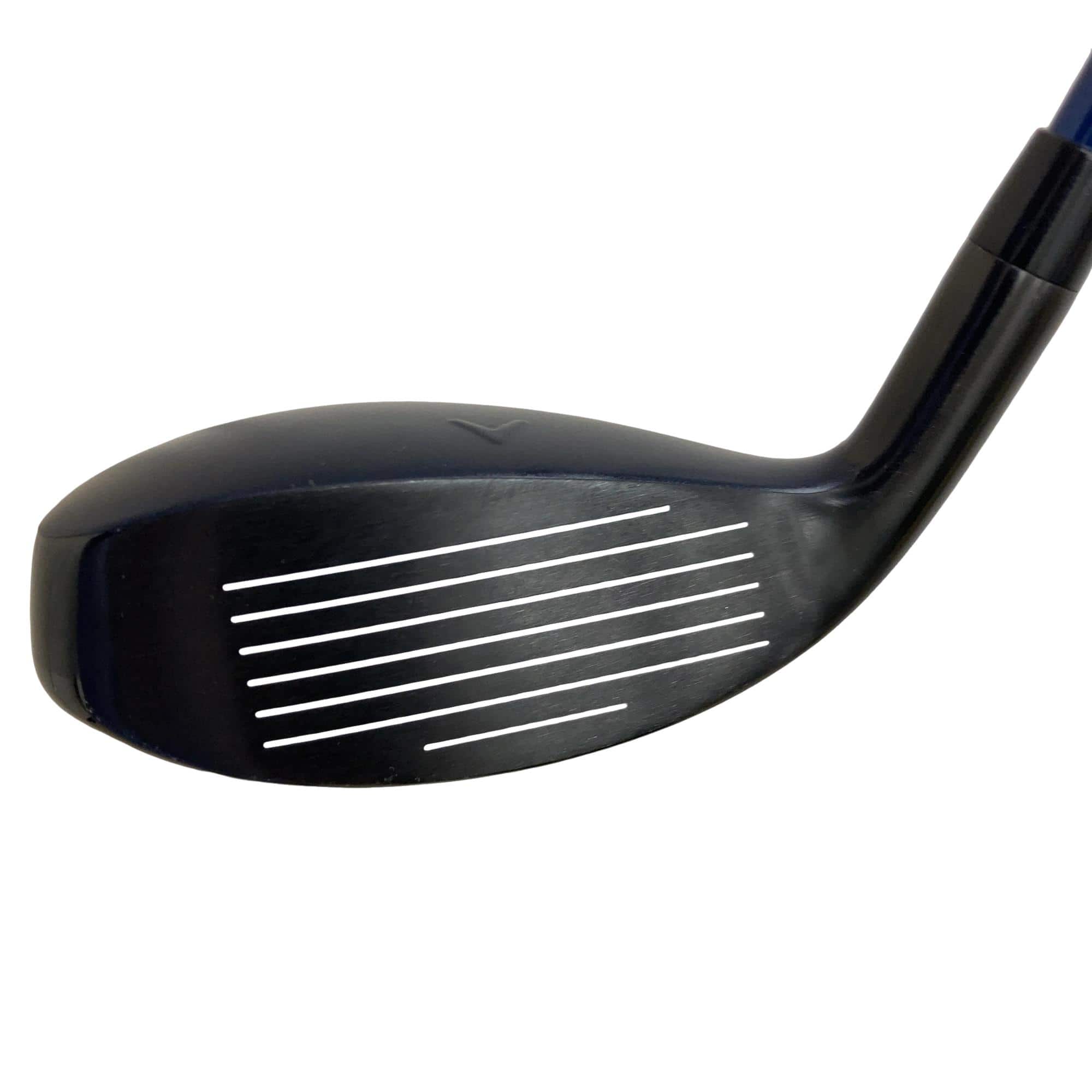 �w�q�@�t�T