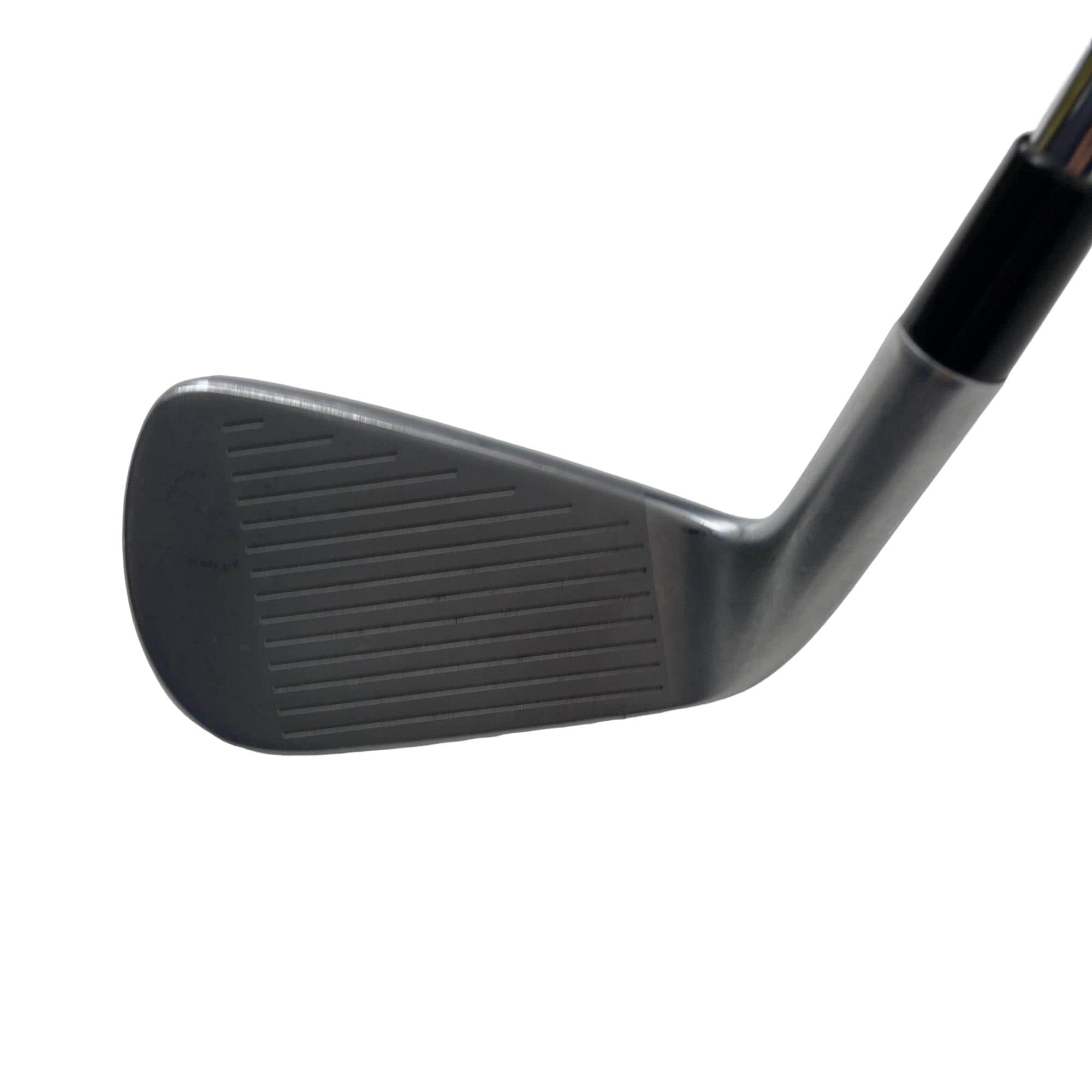 �s�����������@�l�������@�o�E�V�X�O�i�Q�O�Q�P�j�@�U�r�i���{���F�U�{�Z�b�g�j