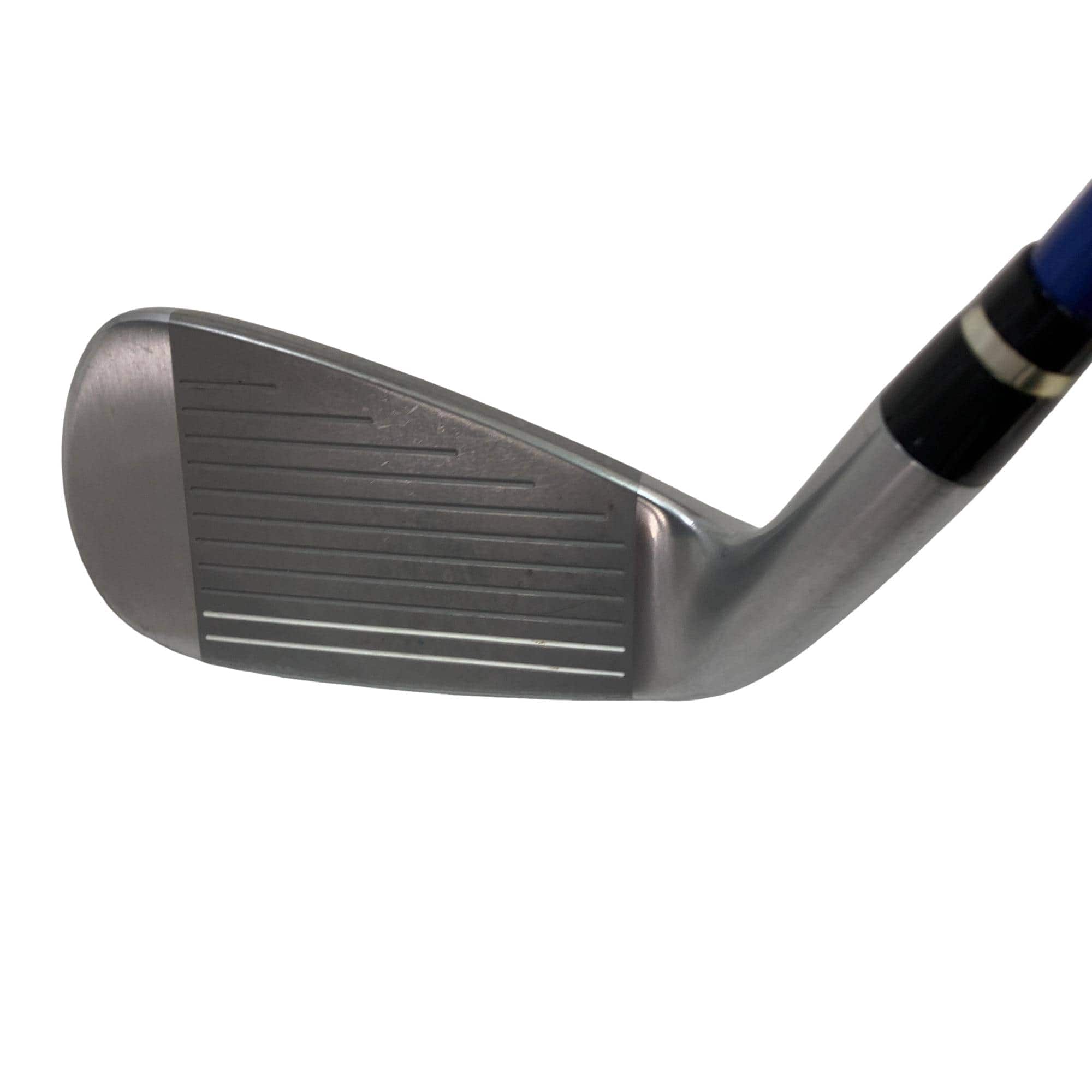 �������������@�t�c�{�Q�@�S�r�i���{���F�S�{�Z�b�g�j