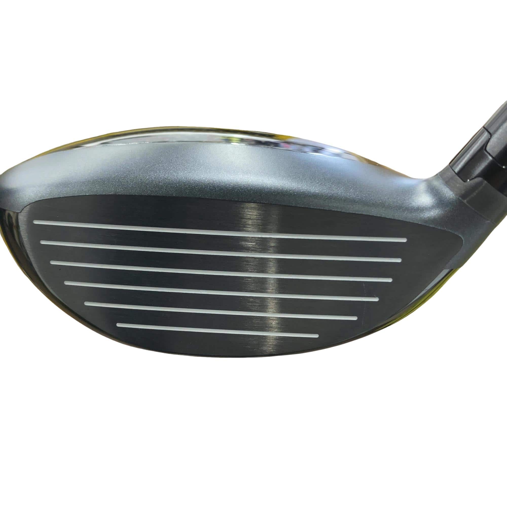 �p�t�`�m�s�t�l�@�������@�T�v