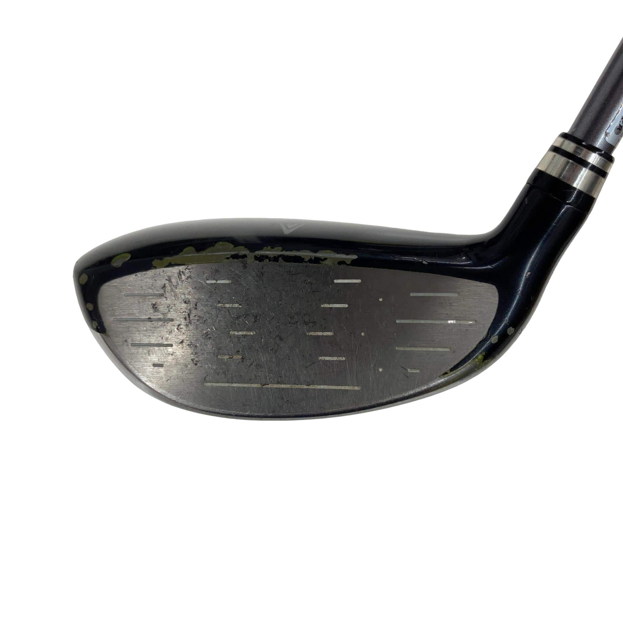 �w�w�h�n�i�Q�O�P�Q�j�@�R�v�@�i�u���[�j�@���f�B�[�X