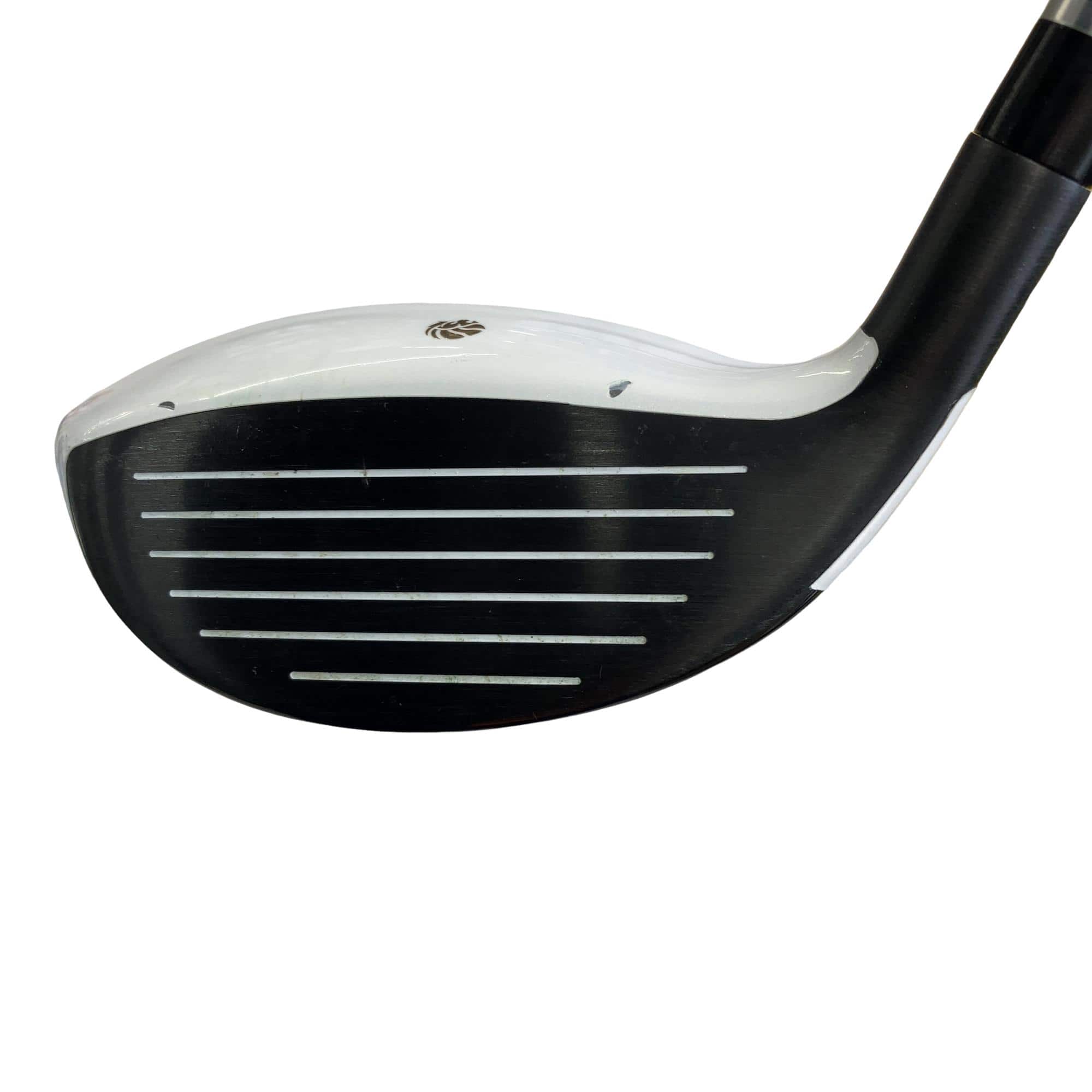 �f�k�n�h�q�d�@�e�i�Q�O�P�U�j�@�T�v