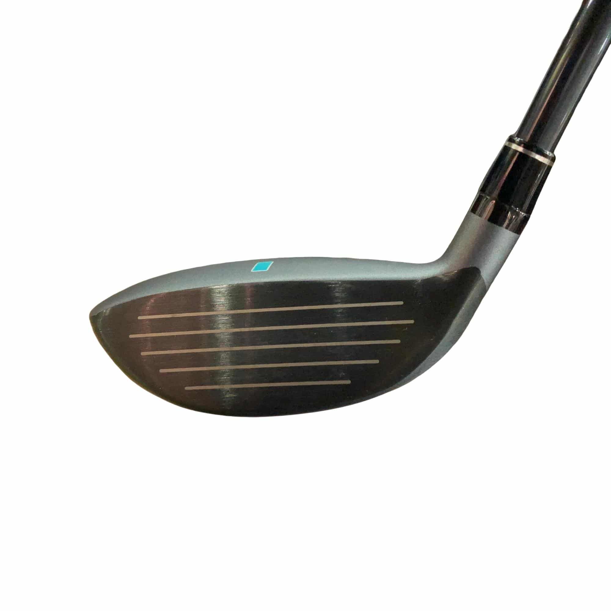 �b�����������@�p�@�t�T