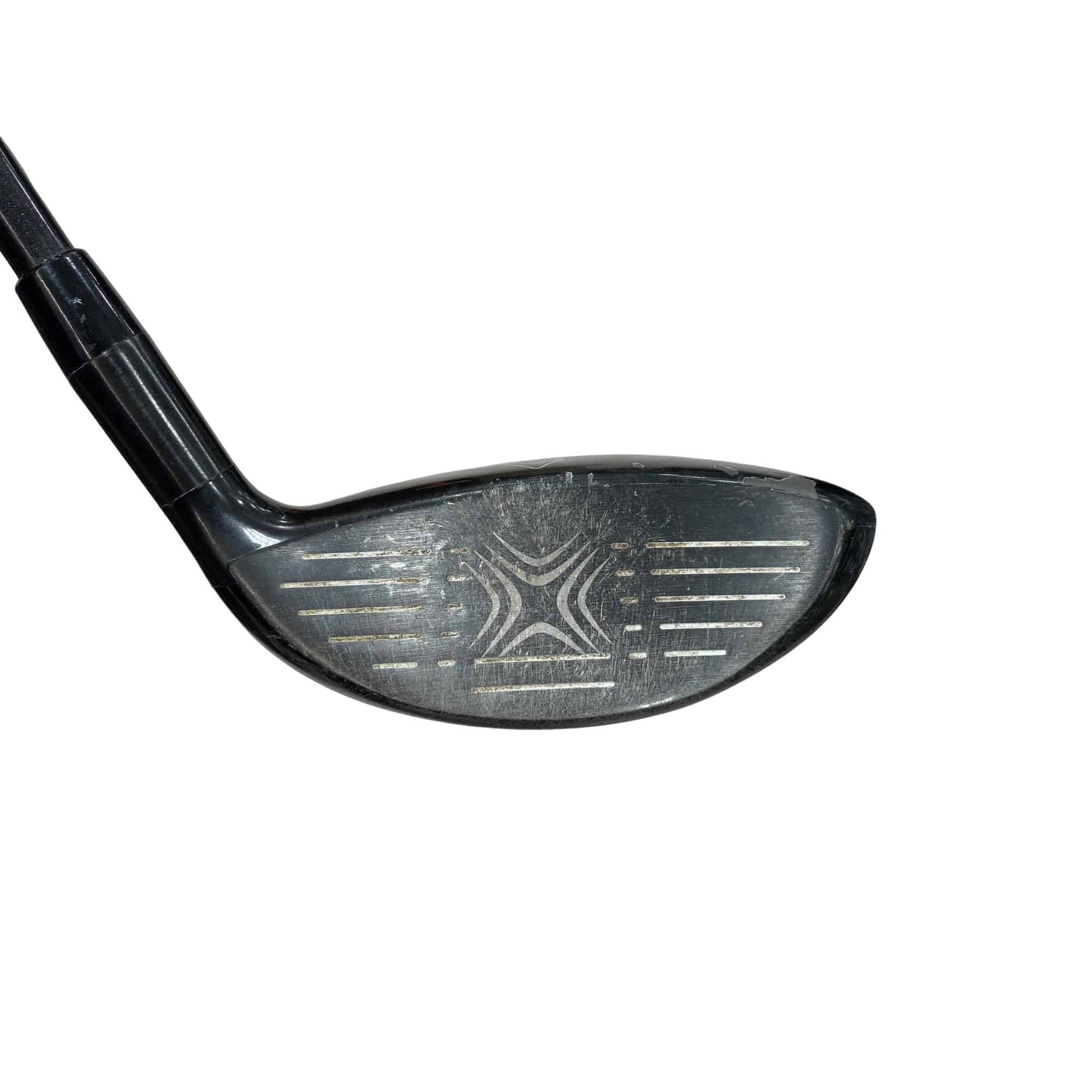 �w�Q�@�g�n�s�@�@�T�v�@���t�e�B