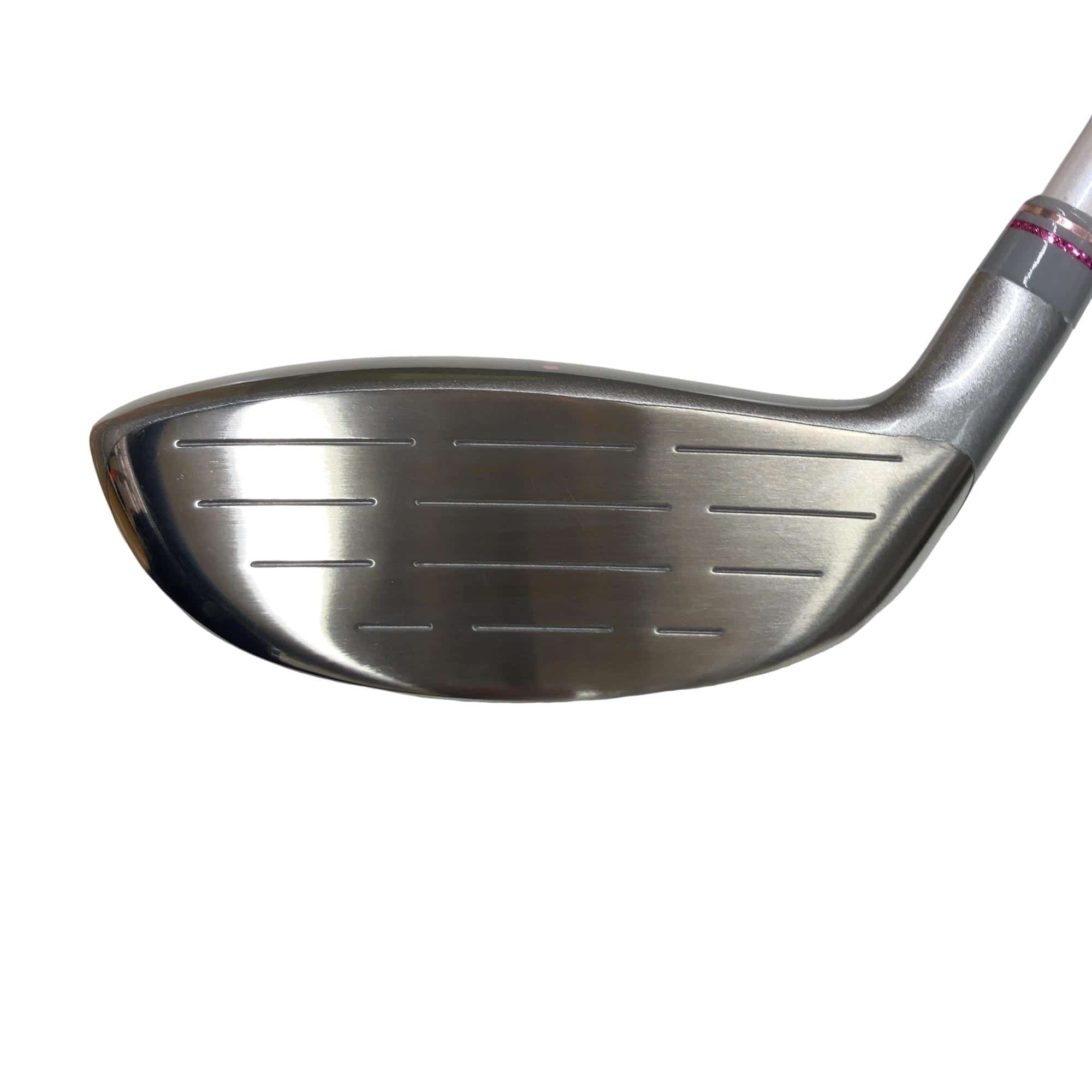 �o���������������@�b�k�i�Q�O�P�P�j�@�S�v�@���f�B�[�X