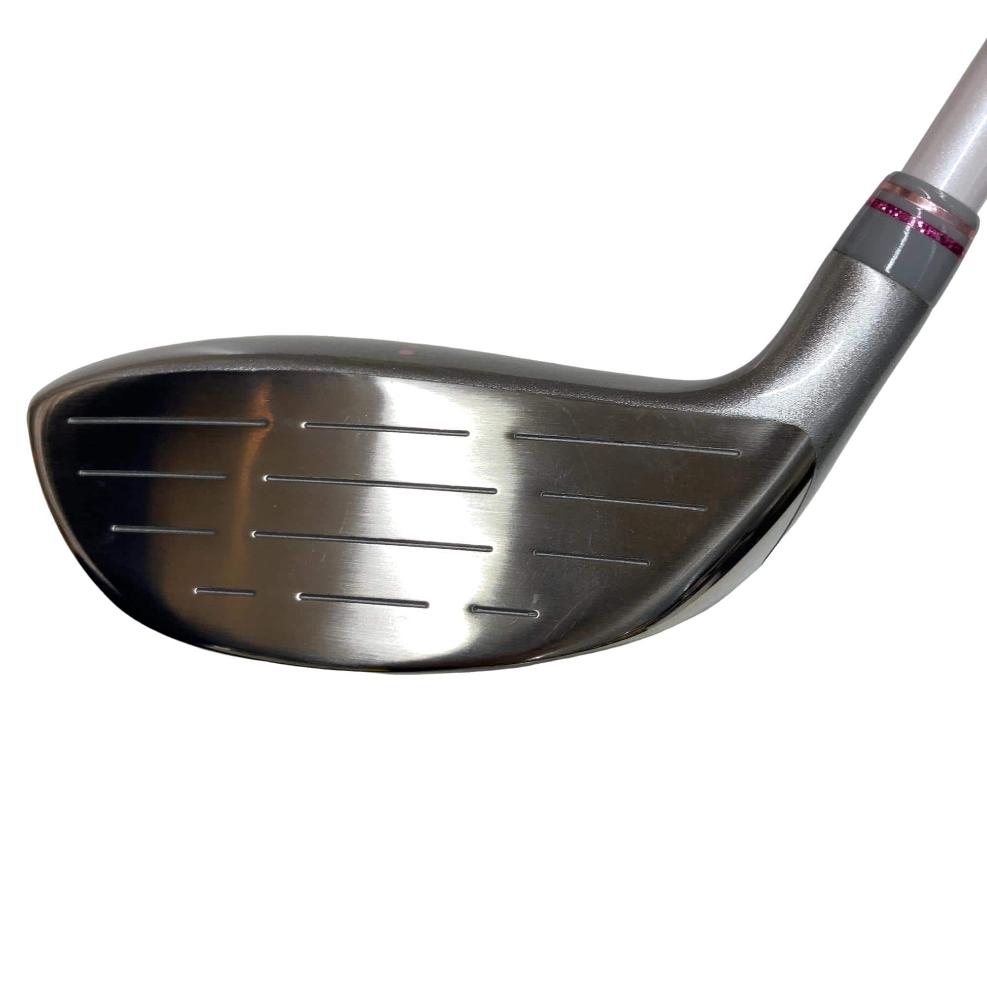 �o���������������@�b�k�i�Q�O�P�P�j�@�V�v�@���f�B�[�X