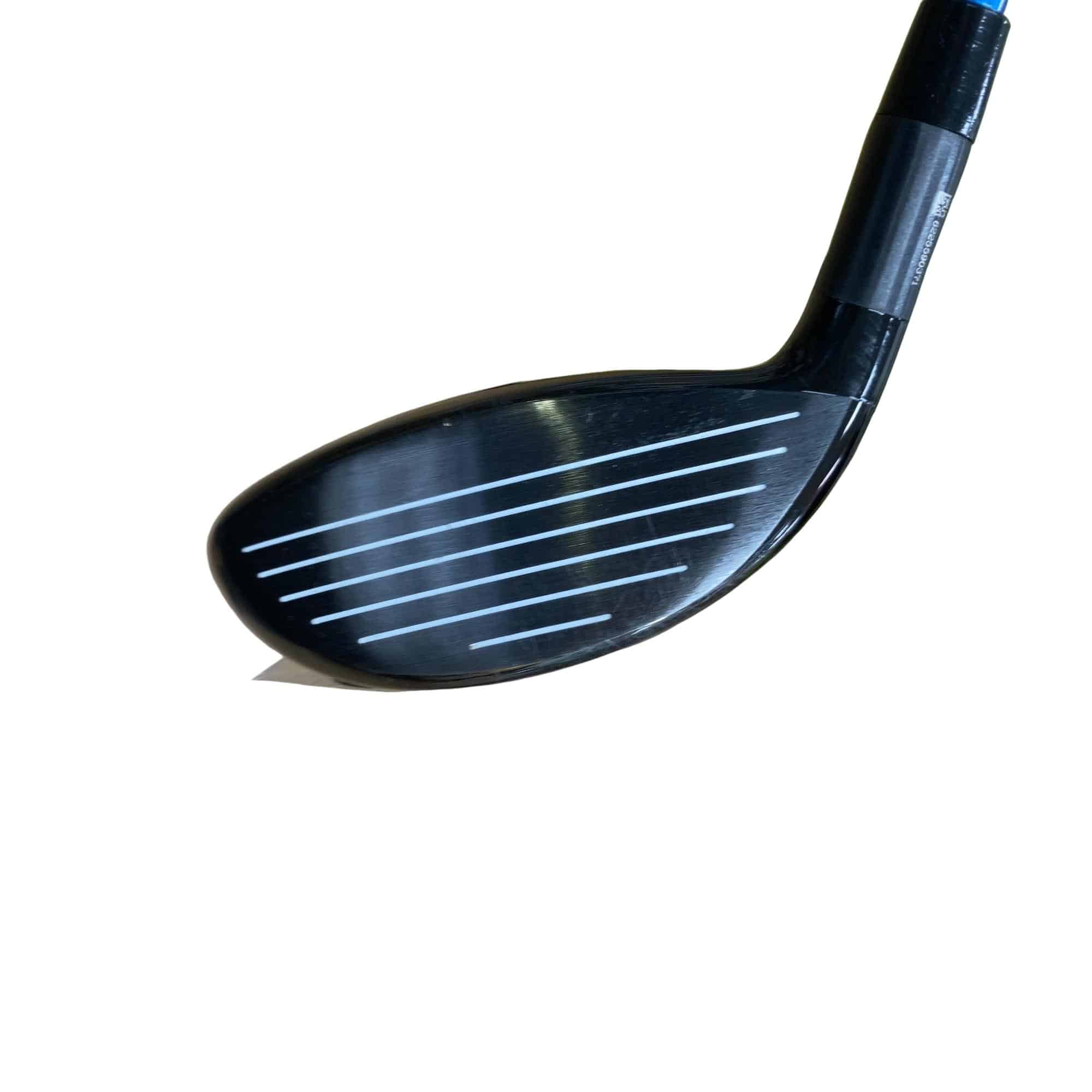 �w�@�g�n�s�@�o�q�n�@�P�T°