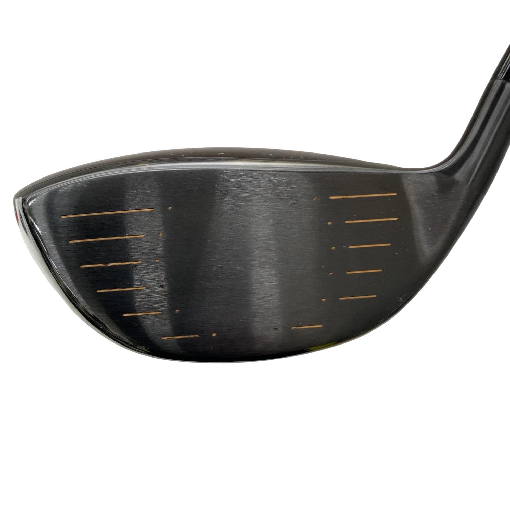 �u�n�k�s���n�@�h�u�@�f�@�g���i�u���b�N�j�@�P�O°