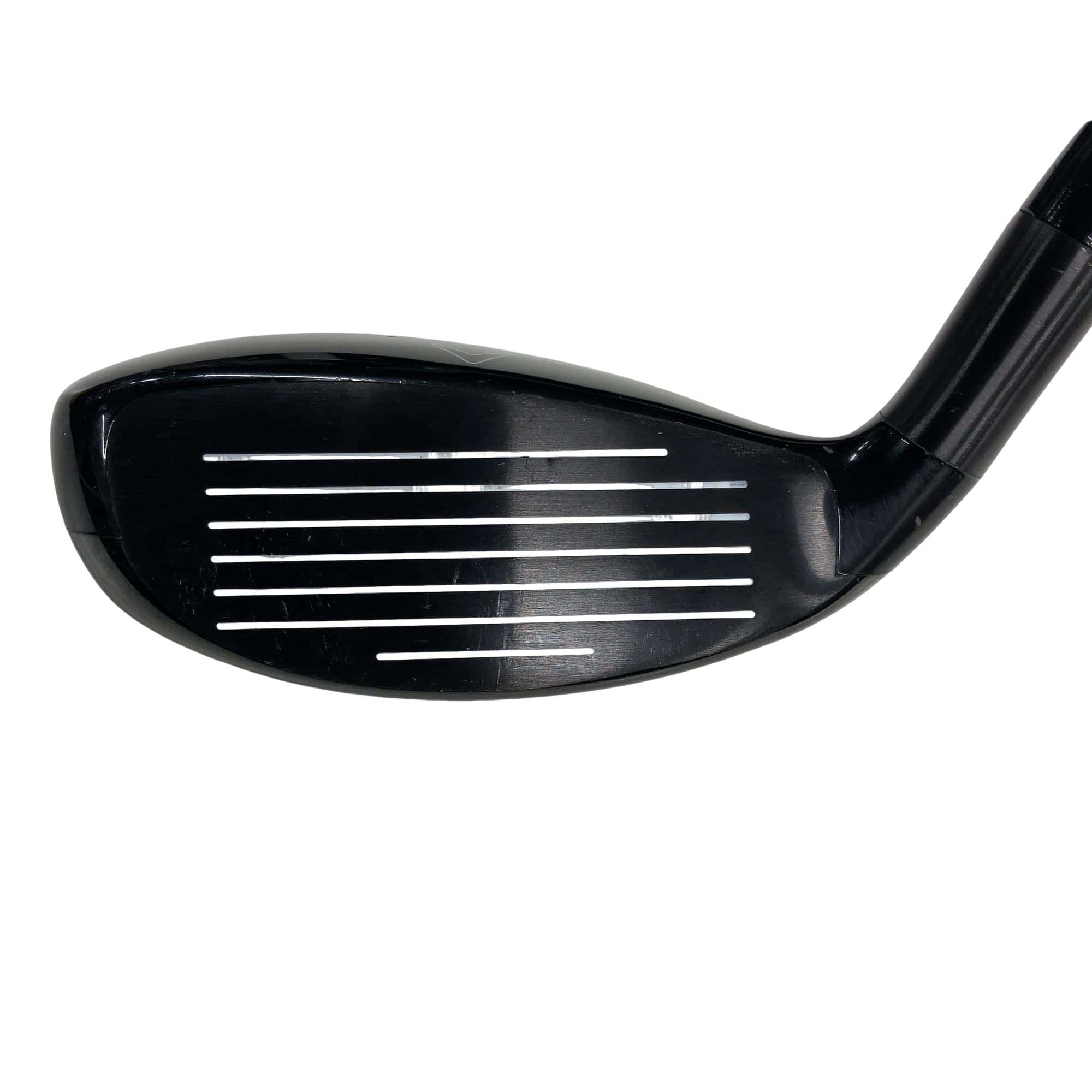 �w�Q�@�g�n�s�@�t�S