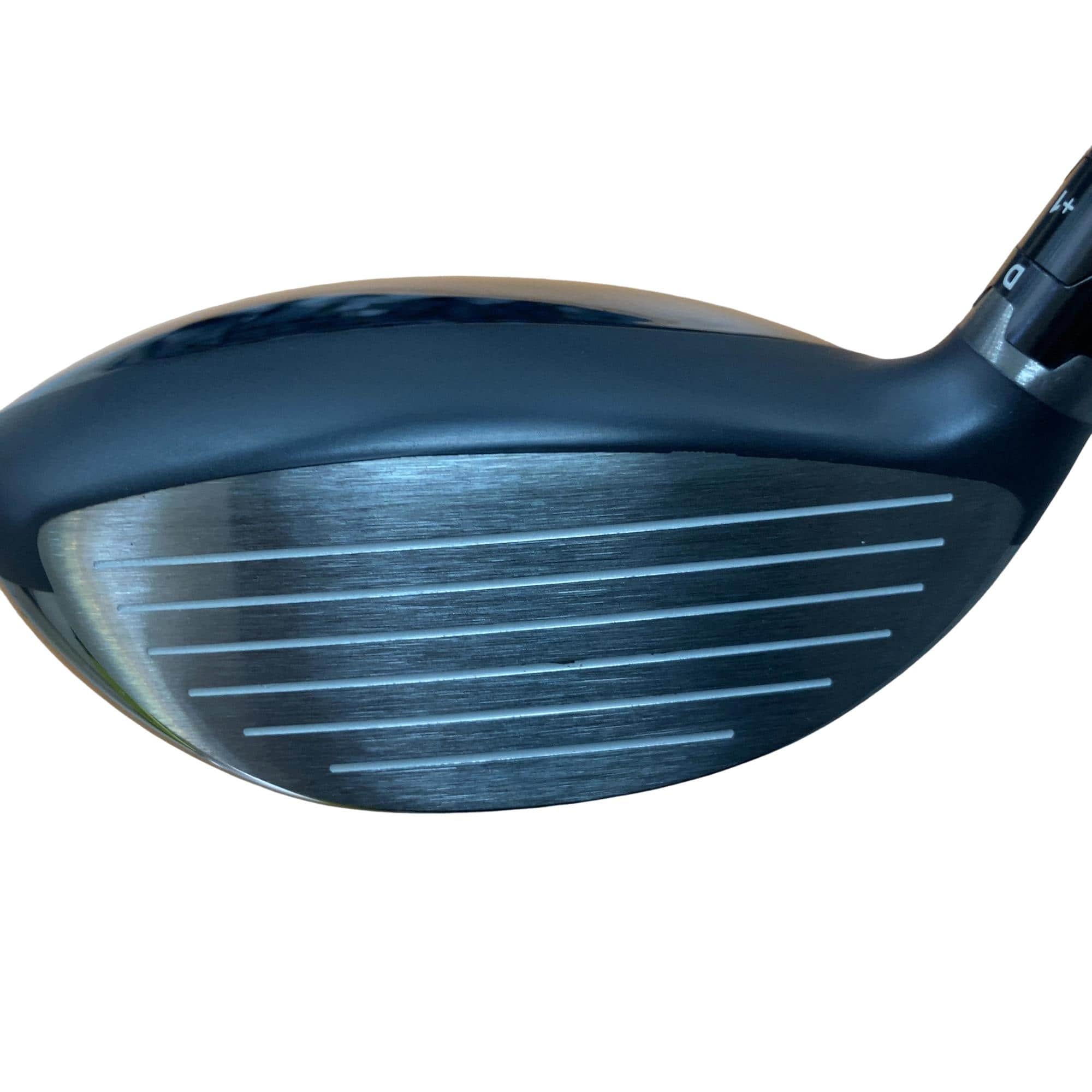 �o�`�q�`�c�x�l�@�������@�T�v