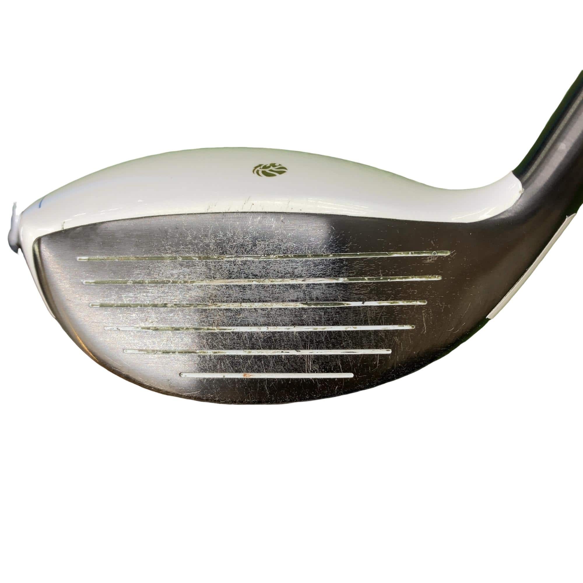 �f�k�n�h�q�d�@�e�i�Q�O�P�U�j�@�T�v