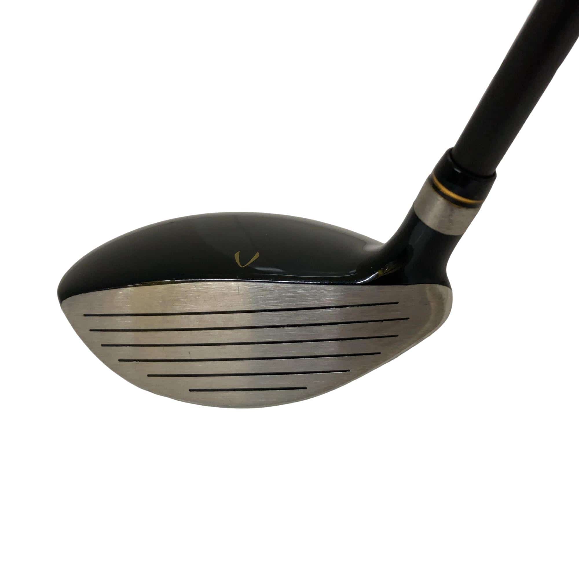 �j�Q�j�@���������O�X���[�e�B���e�B�@�t�U