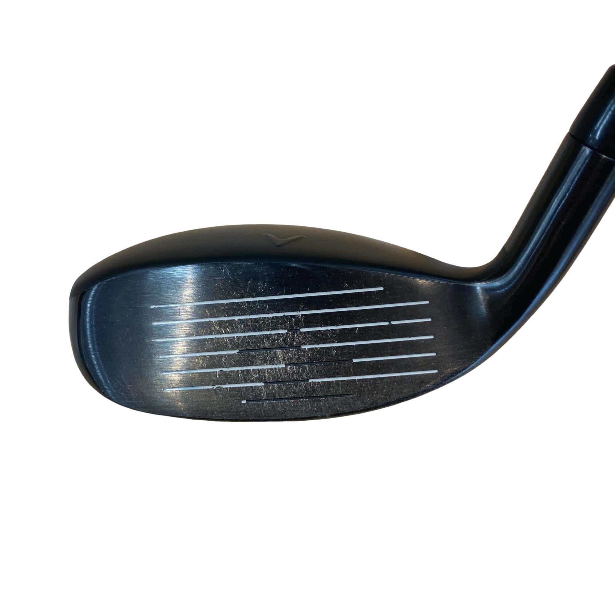 �w�q�@�P�U�@�n�r�@�t�T