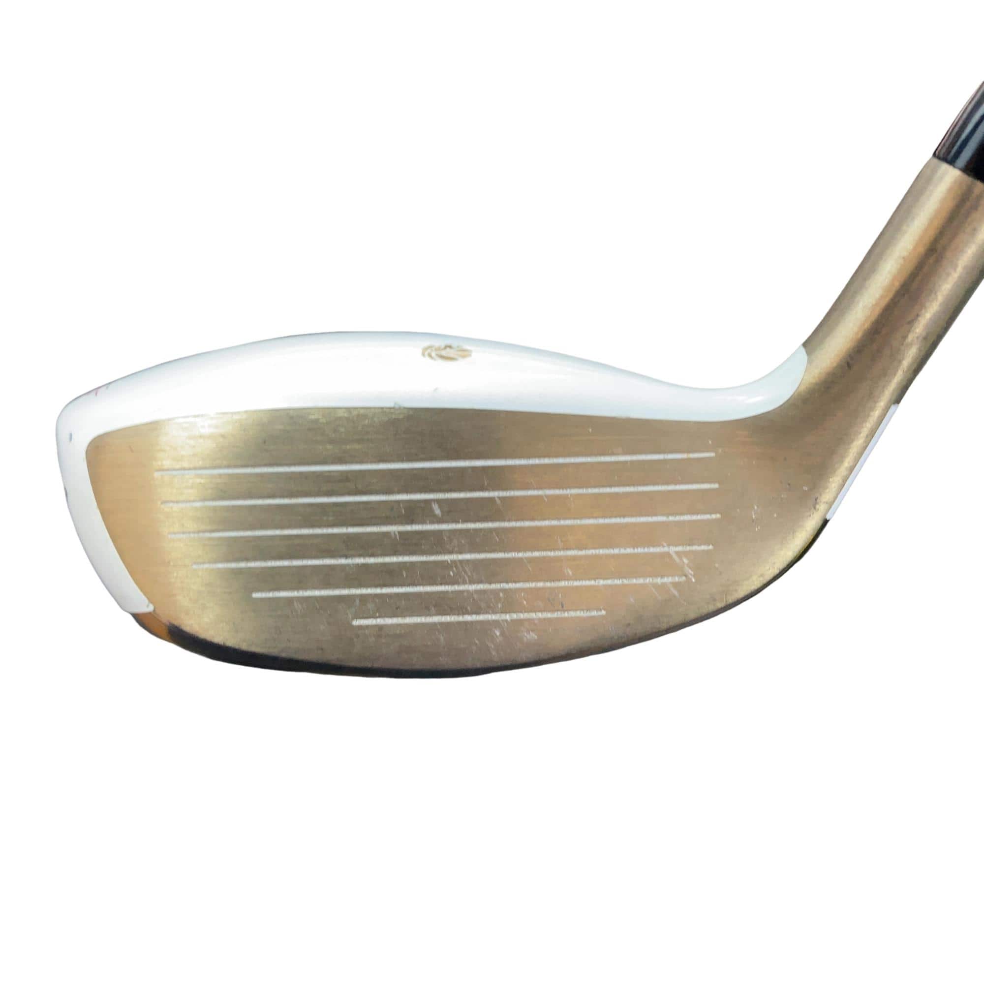 �f�k�n�h�q�d�@�e�@�t�T�@���f�B�[�X