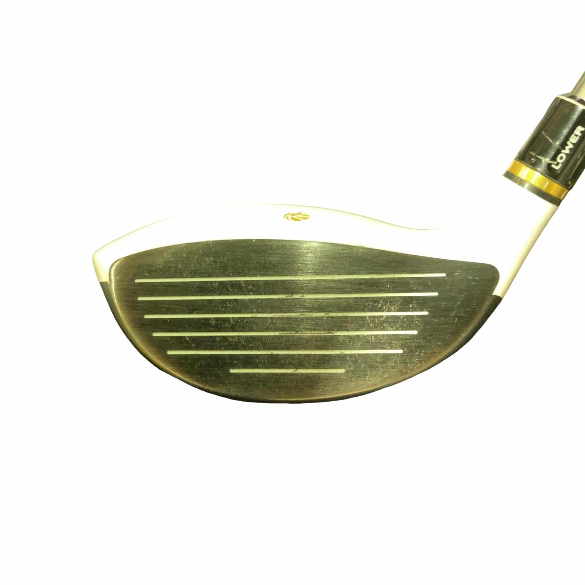 �f�k�n�h�q�d�@�T�v