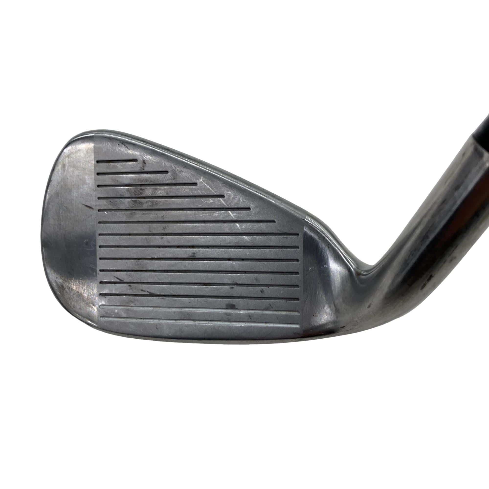 ���T�@�w�k�@�o�k�t�r�@�U�r�i���{���F�U�{�Z�b�g�j