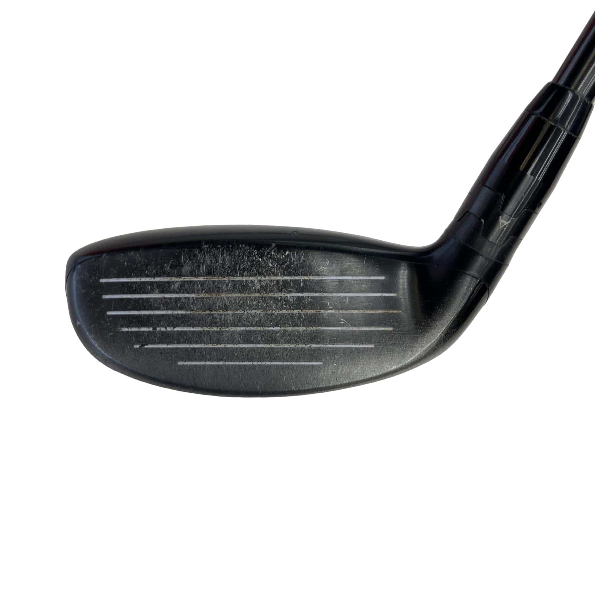 �X�P�T�@�g�@�t�S