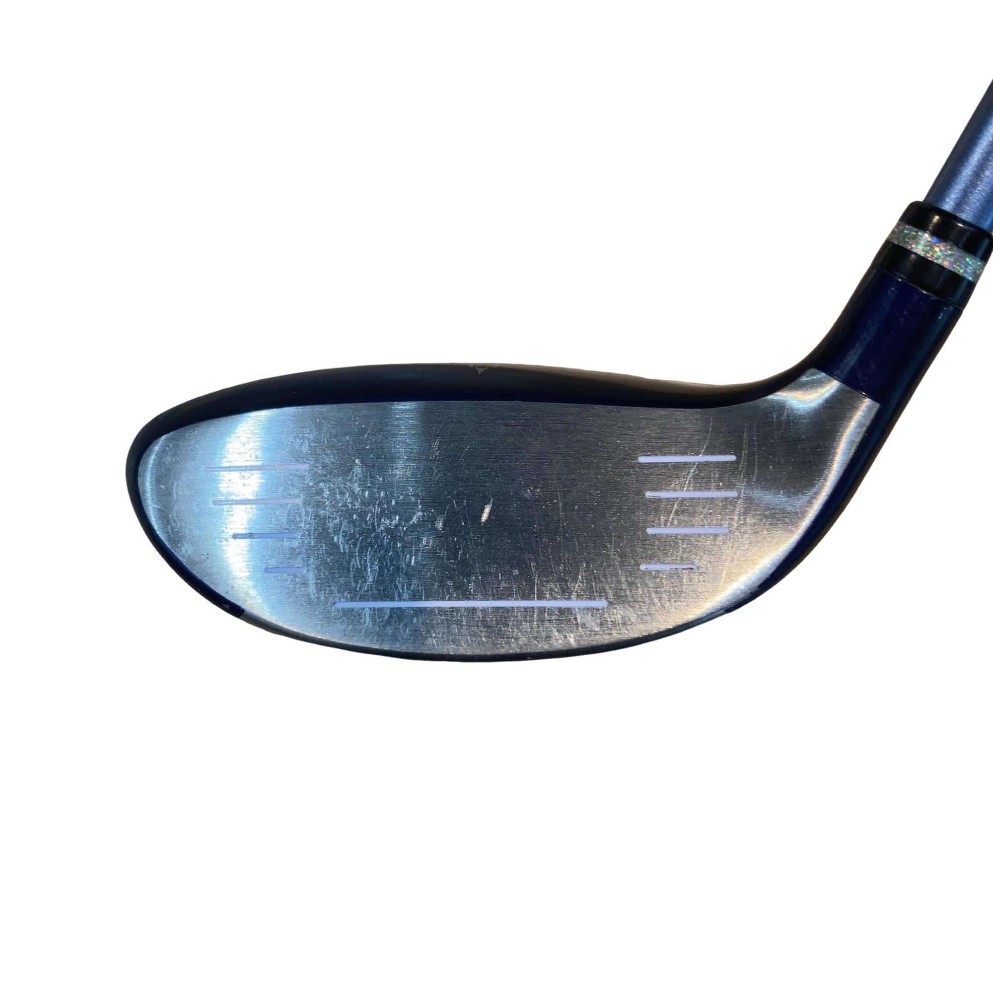 �������������@�t�c�{�Q�@�t�T�@���f�B�[�X