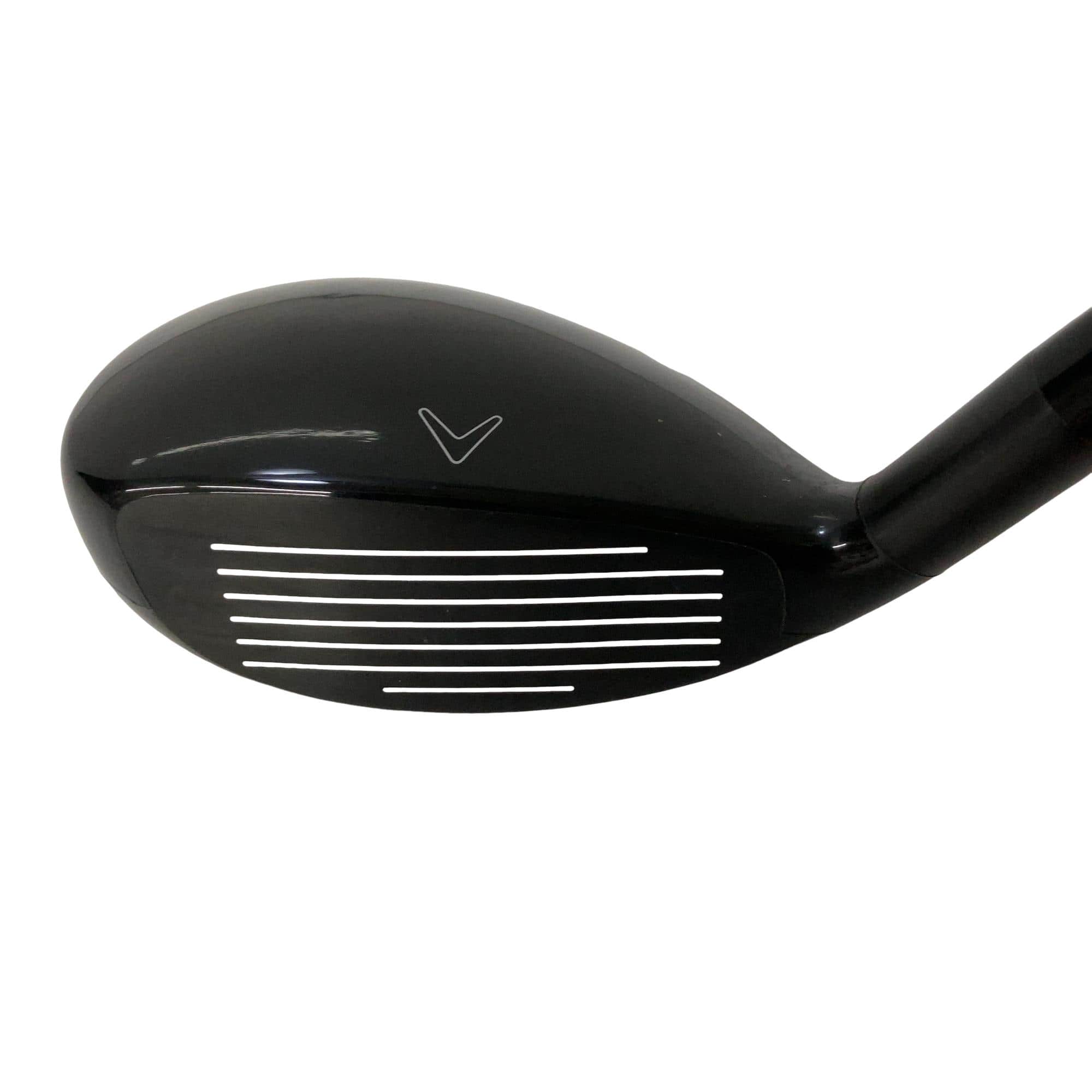 �w�Q�@�g�n�s�@�t�R