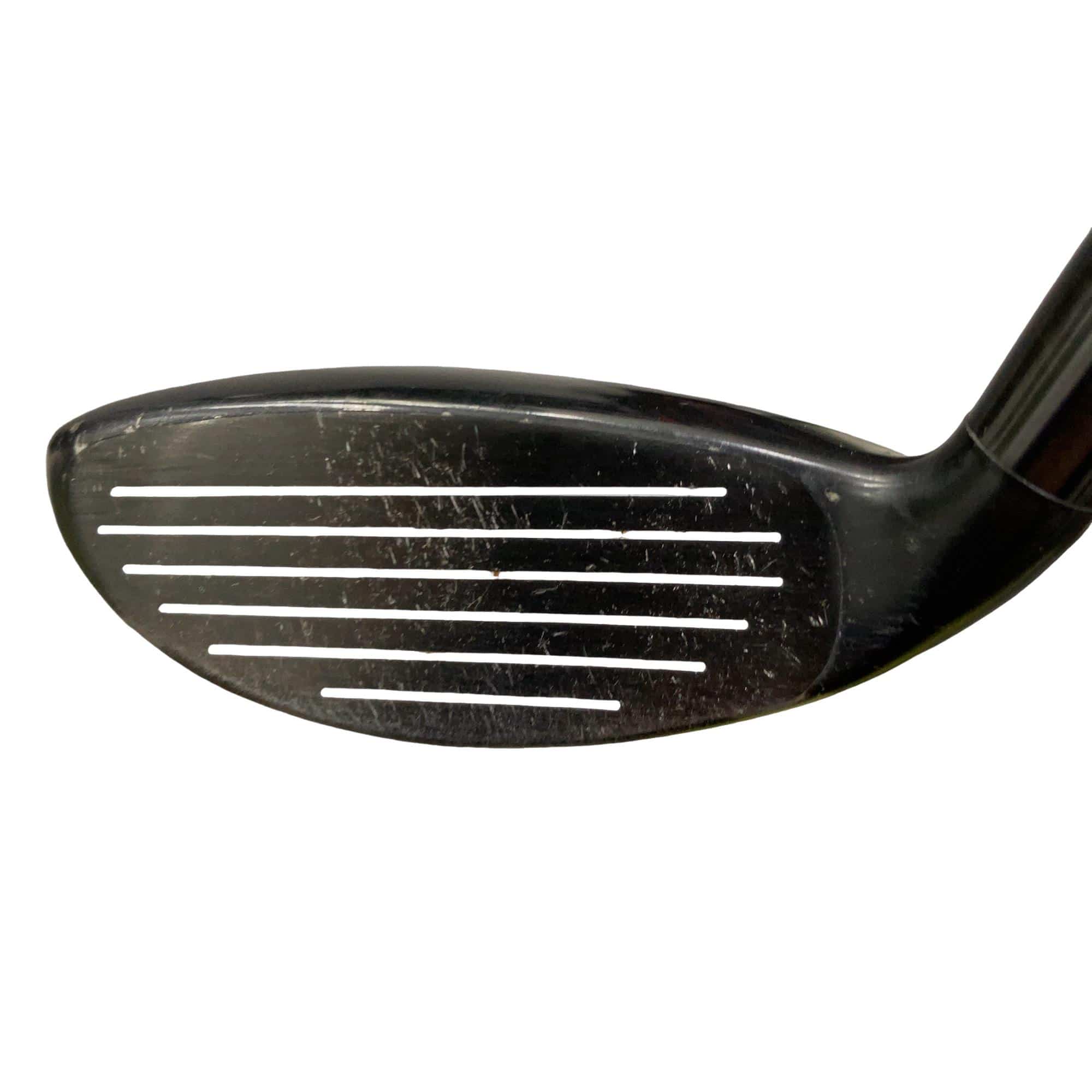 �w�@�g�n�s�@�t�S