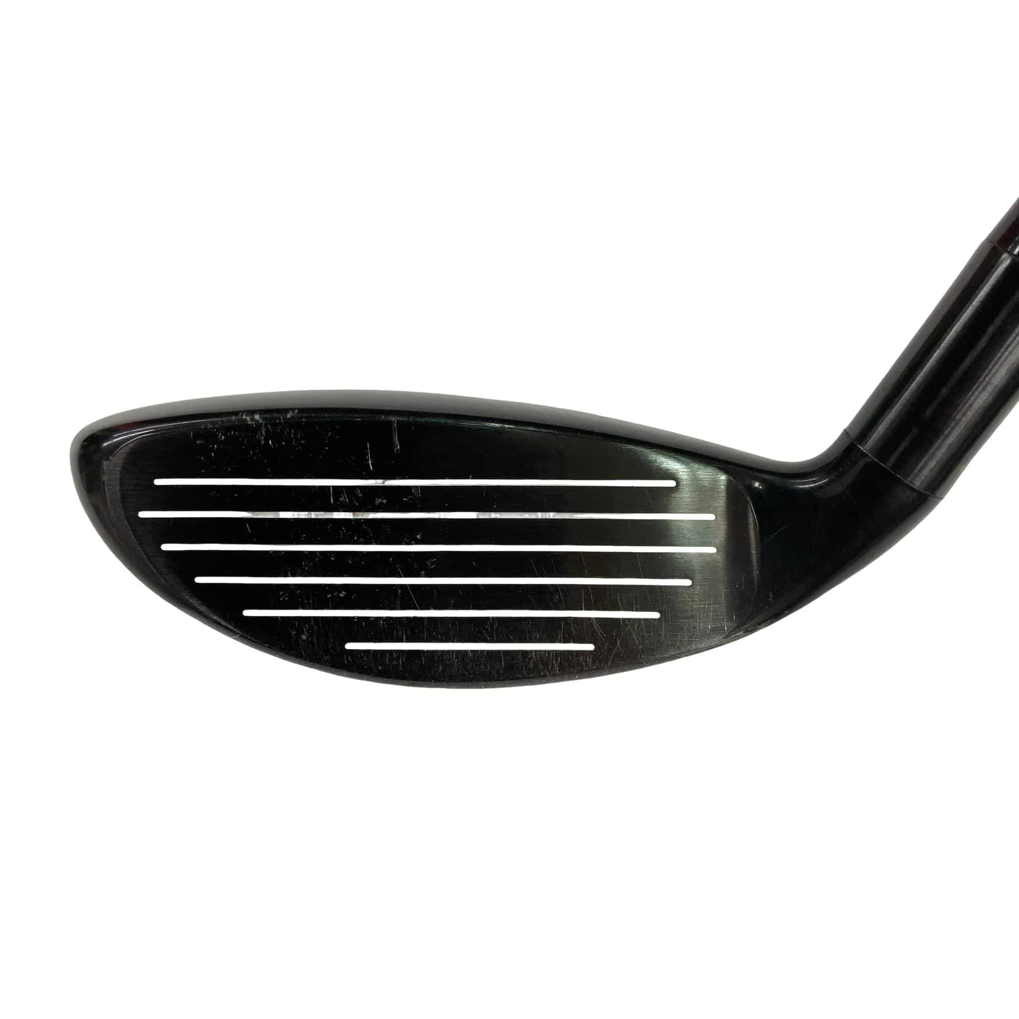 �w�@�g�n�s�@�t�S