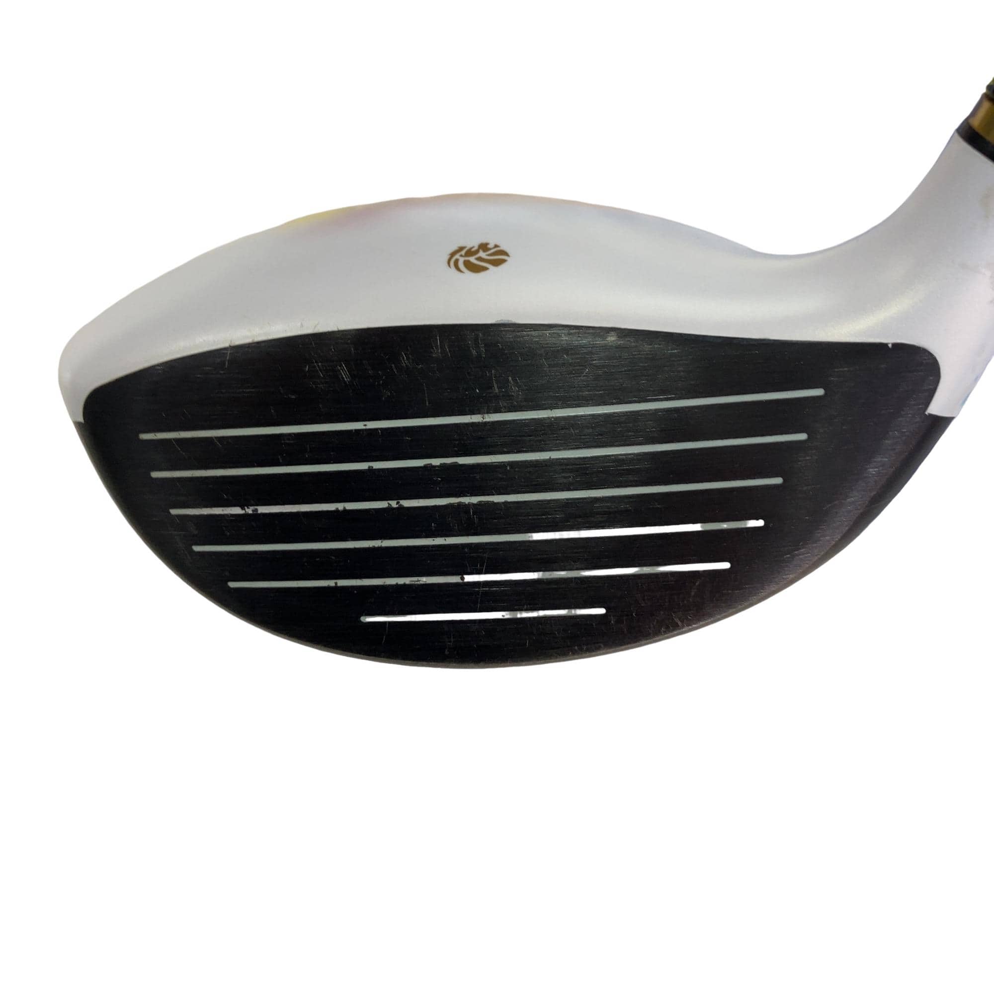 �f�k�n�h�q�d�@�T�v