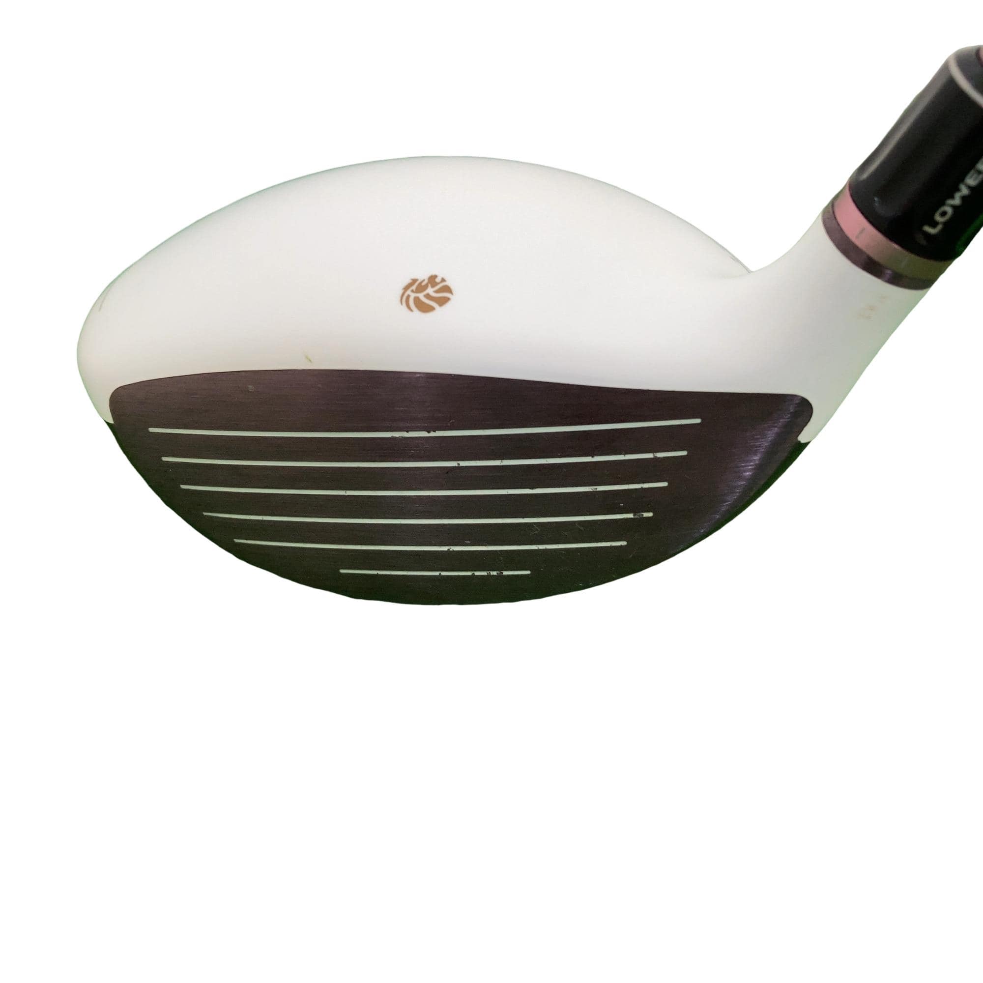 �f�k�n�h�q�d�@�R�v�@���f�B�[�X