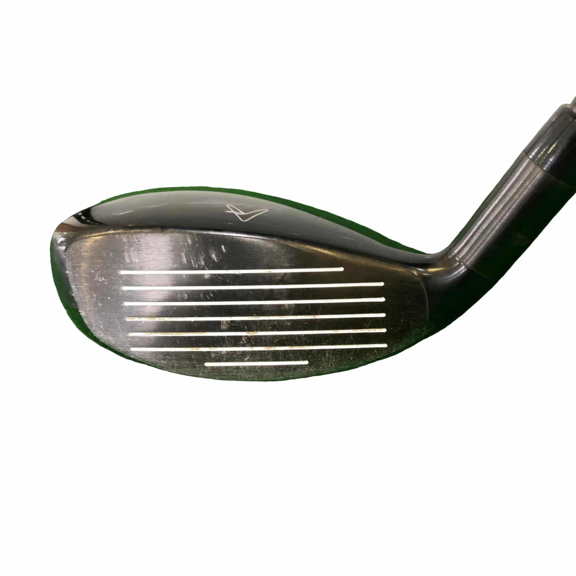 �w�Q�@�g�n�s�@�t�T